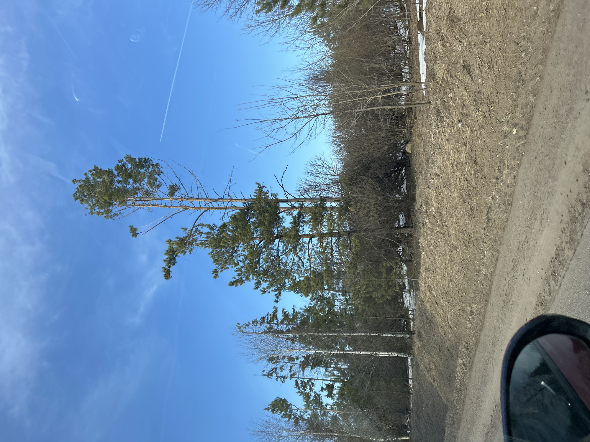 Rural roadside scenes documented near Foki, Russia