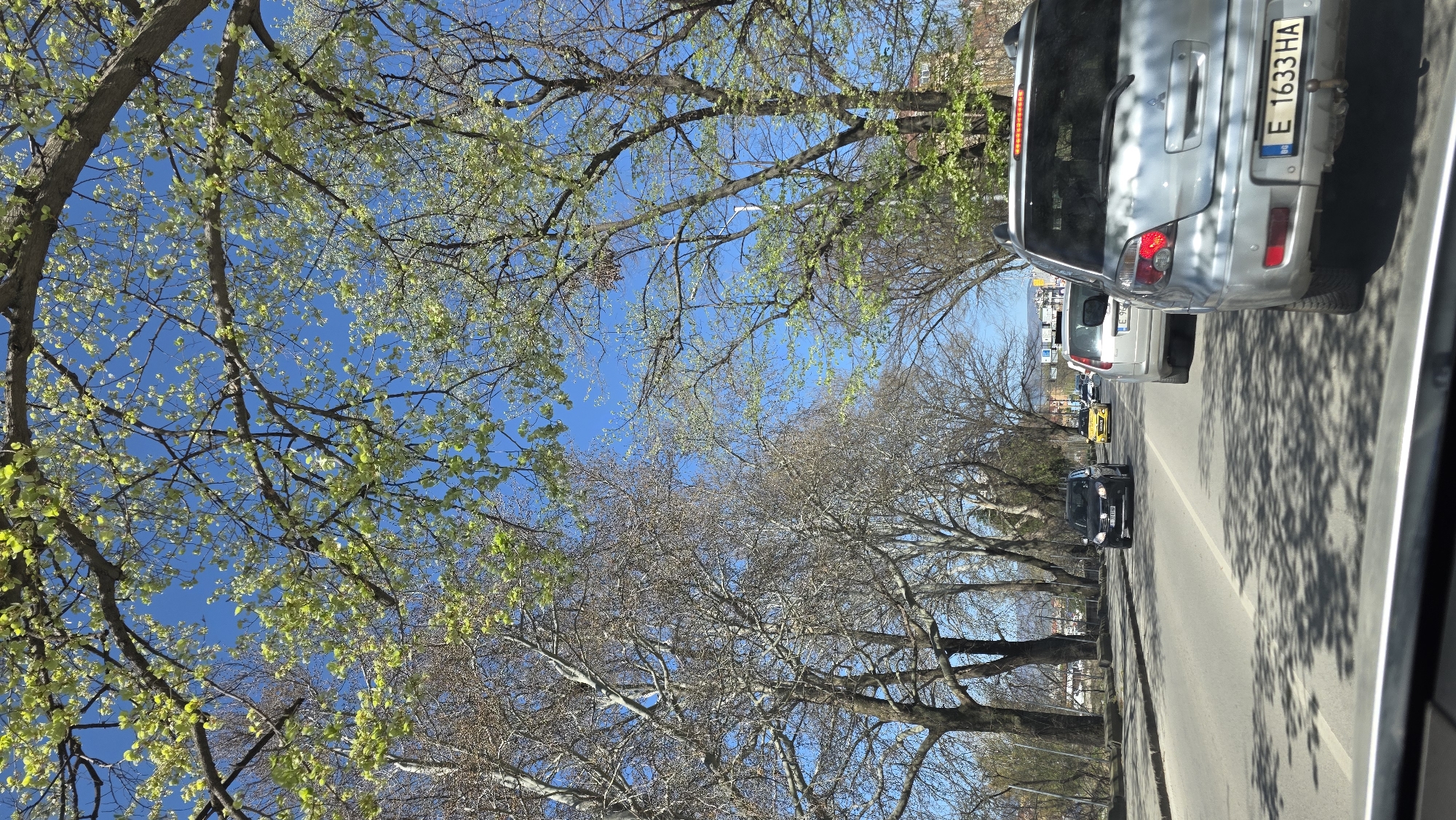 Morning scenes documented across Blagoevgrad: traffic, police, gym activity