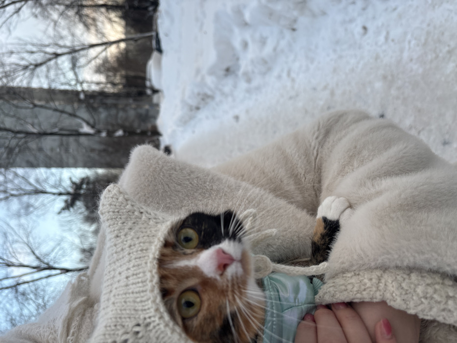 Person holds calico cat during snowy afternoon in Moscow