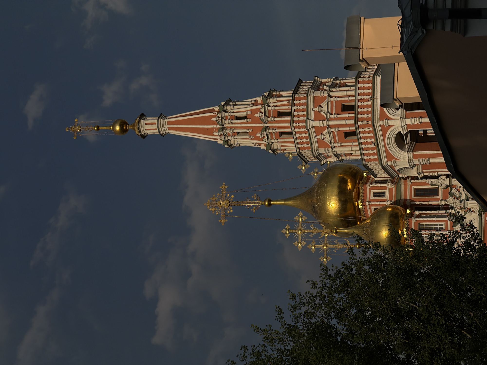 Dog named Bobo plays near Moscow Kremlin landmarks