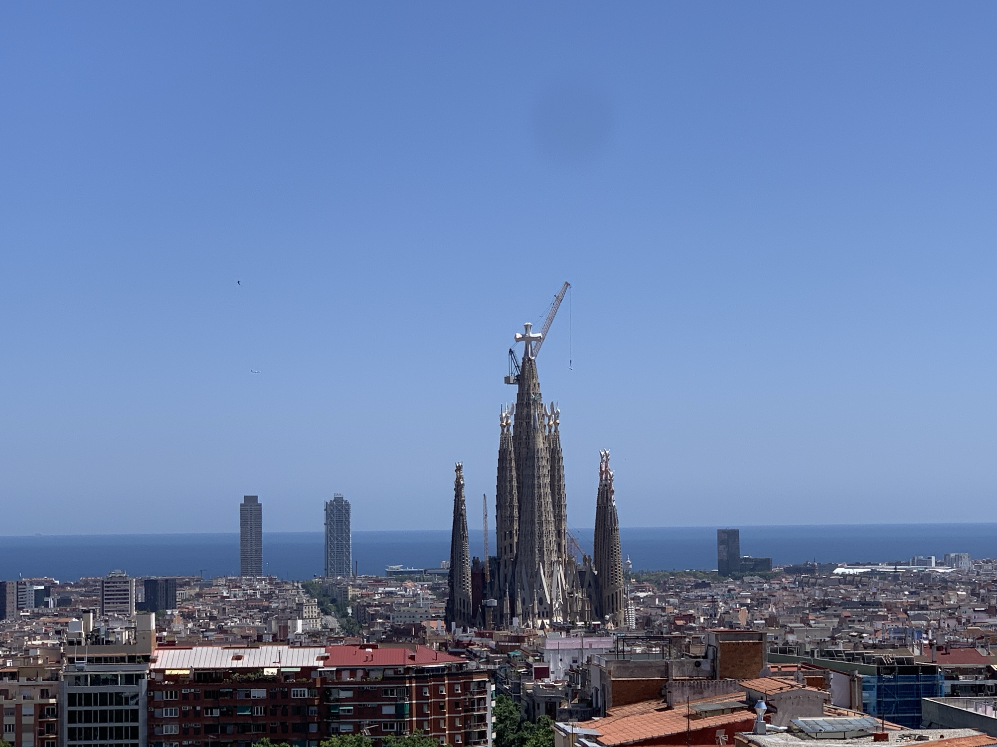 Tourist documents Barcelona landmarks, cannabis plants, pastries during afternoon walkabout