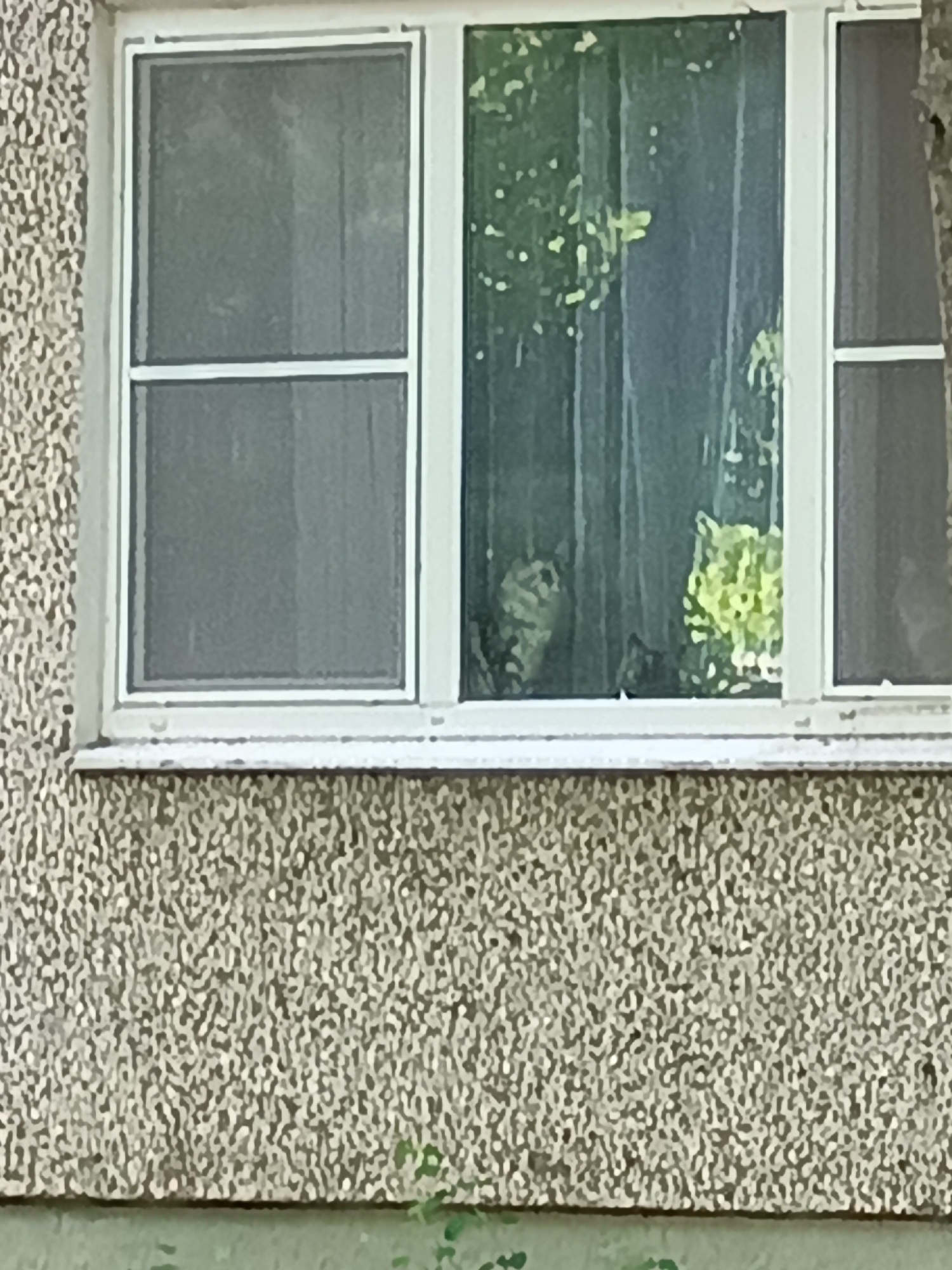 White-framed window documented on Moscow building exterior