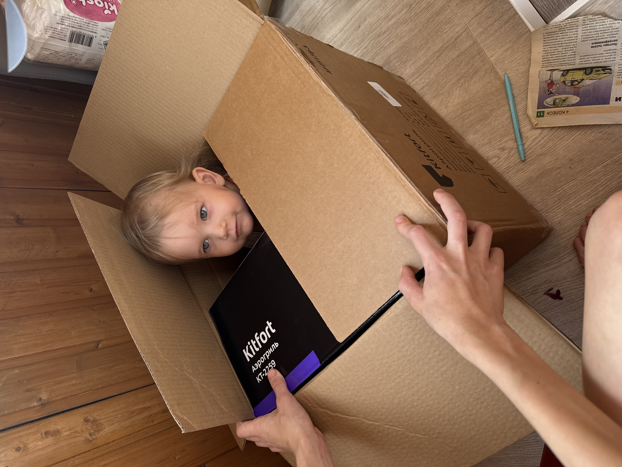 Curious peek from inside a cardboard box, Moscow