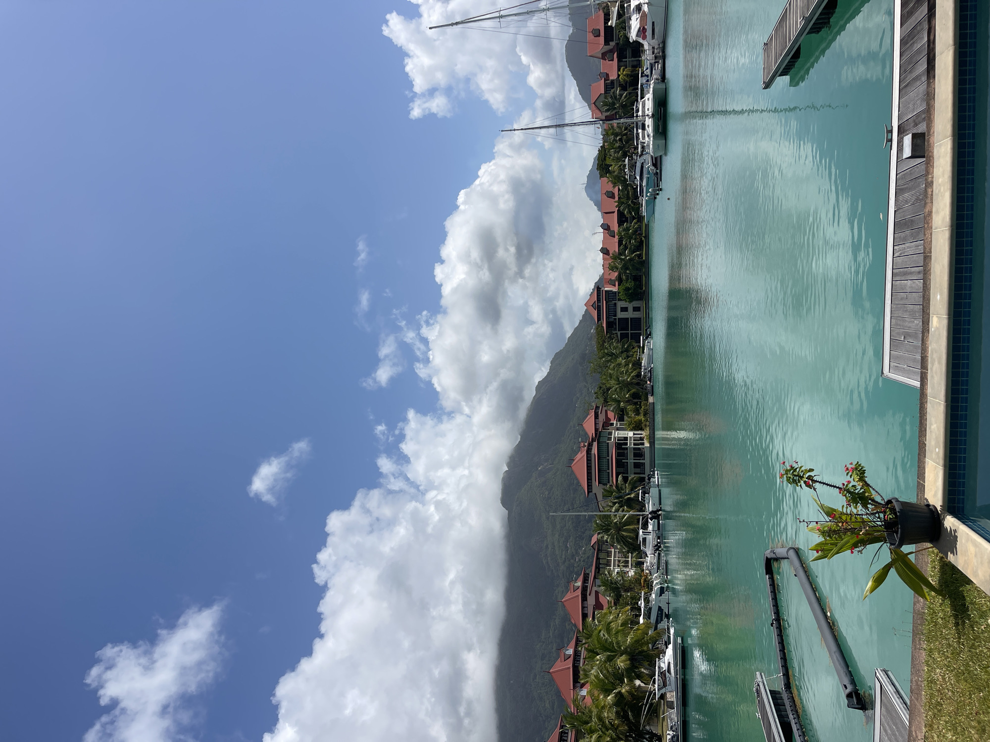 Poolside views of Victoria's marina with mountain backdrop
