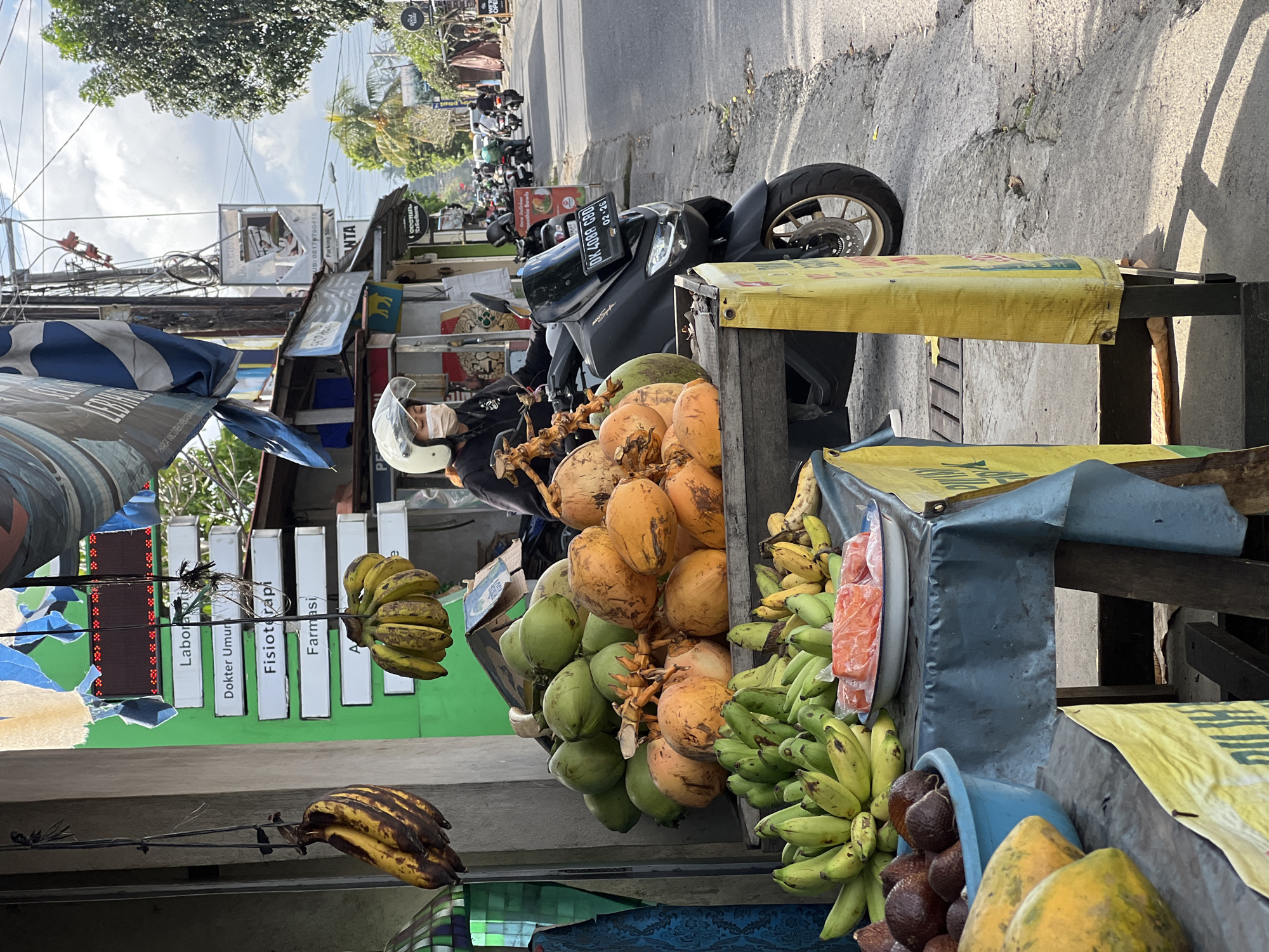 Morning street scenes documented across Ubud District, Indonesia