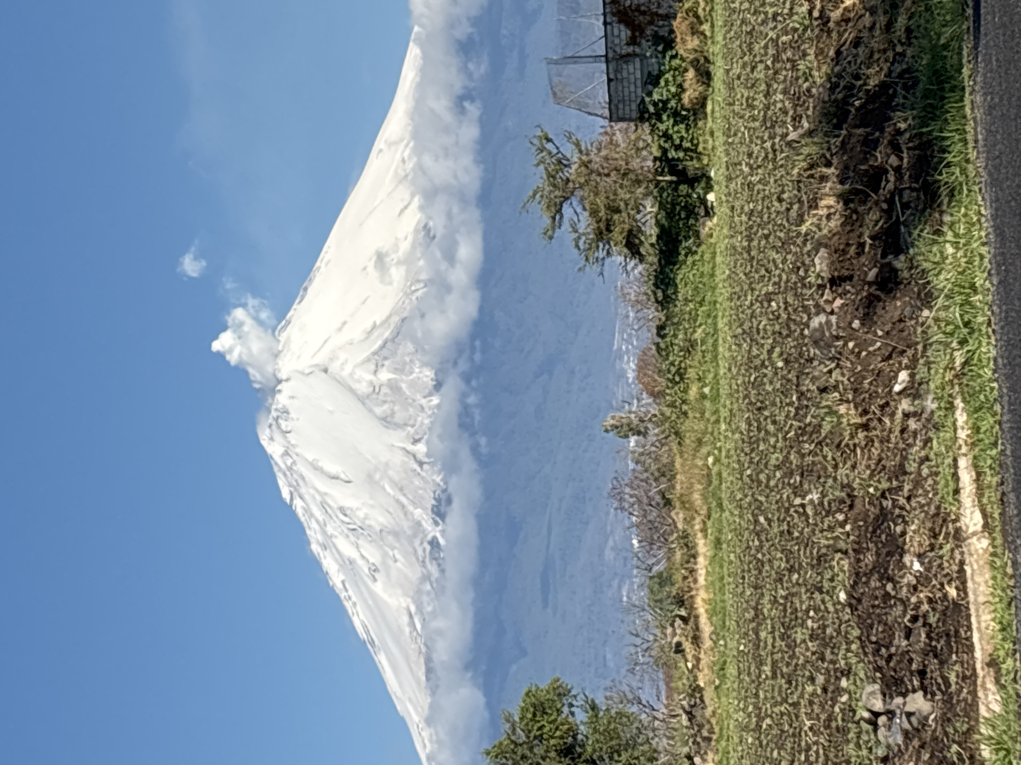 Snow-capped volcano emits steam plume in central Mexico