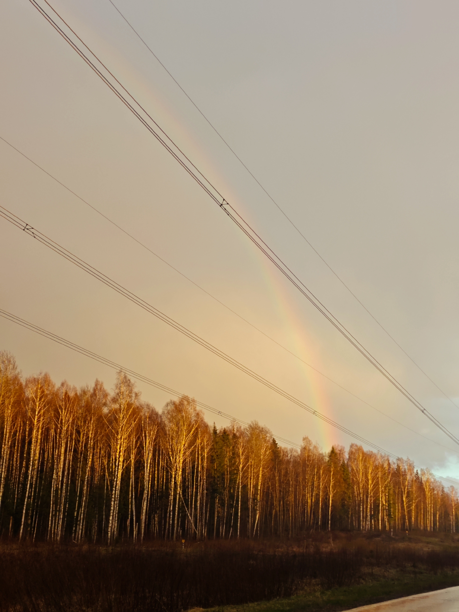 Rainbow spotted over Chaikovsky, Russia during golden hour