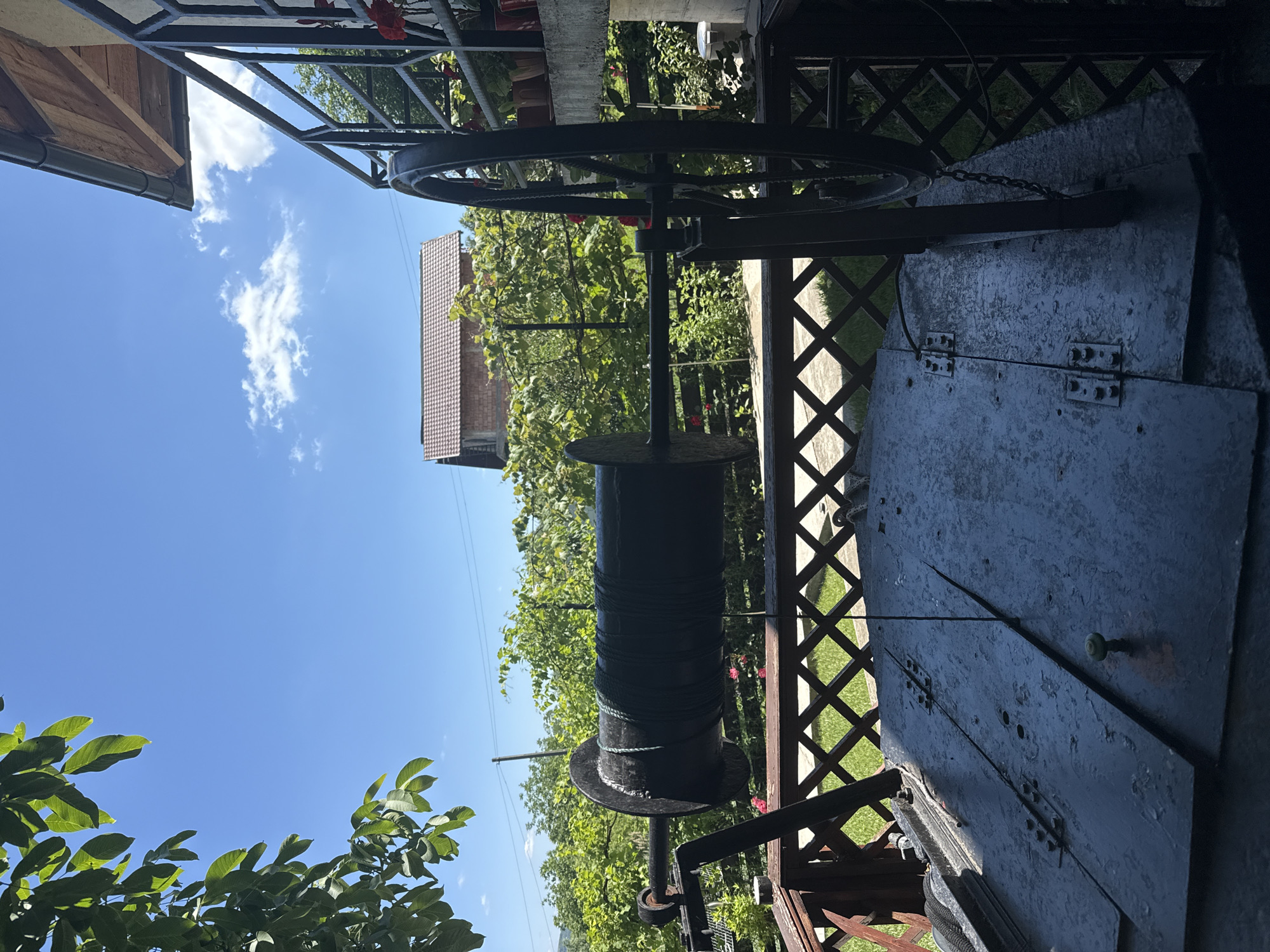 Lazy summer afternoon in a Târgu Neamț backyard