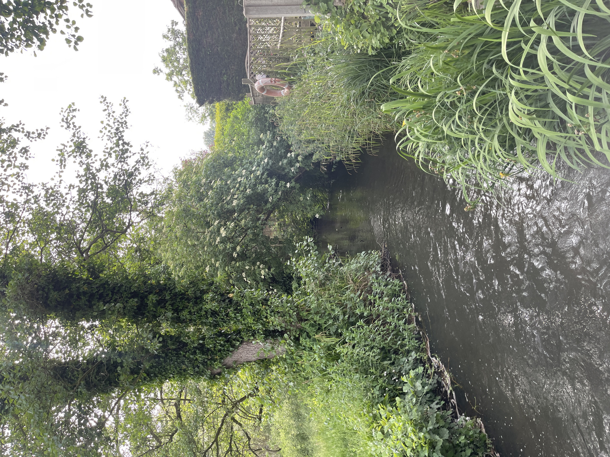 Casual walk through residential Maidstone neighborhoods documented by witness