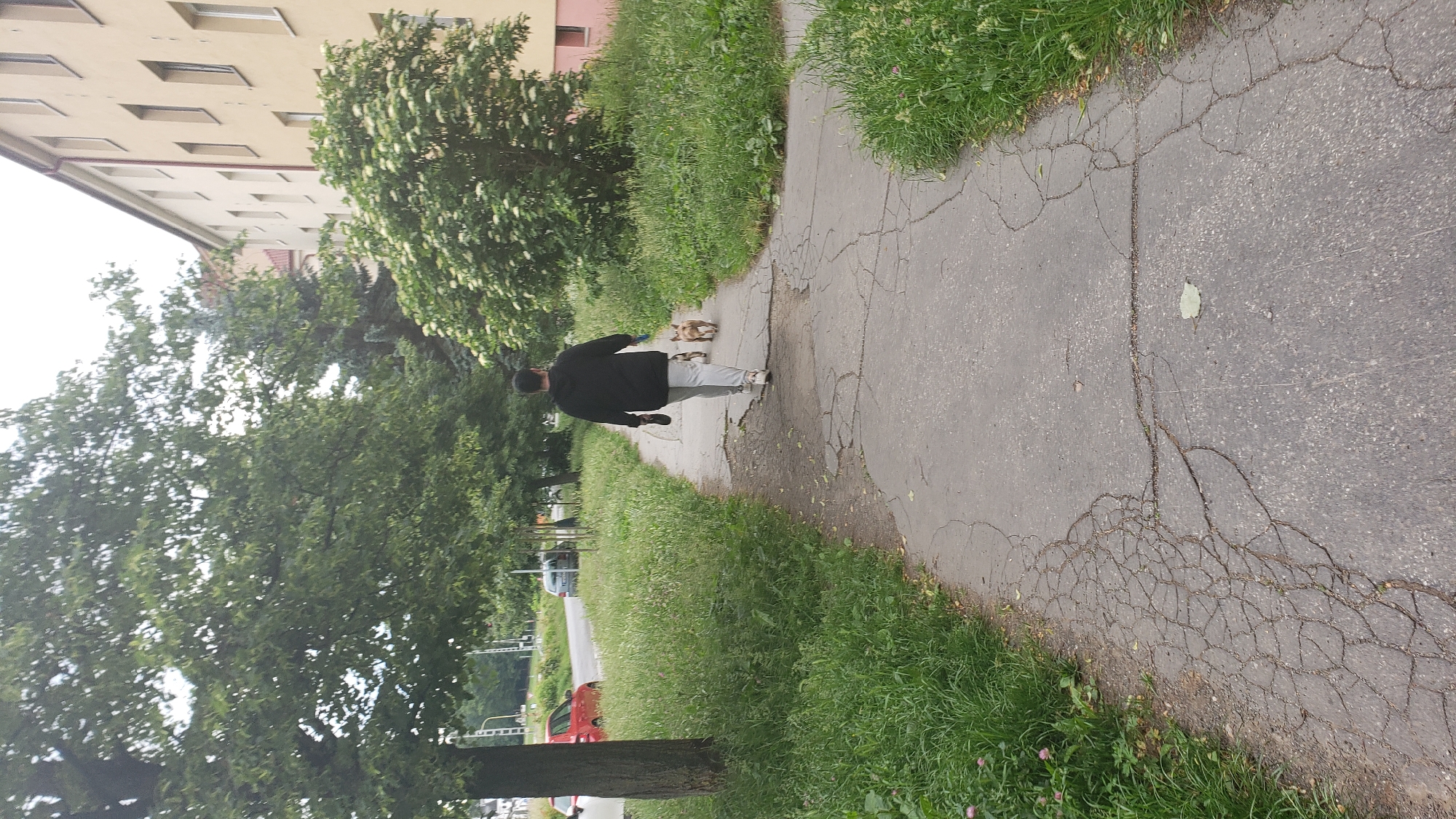 Morning street life documented across Prešov, Slovakia