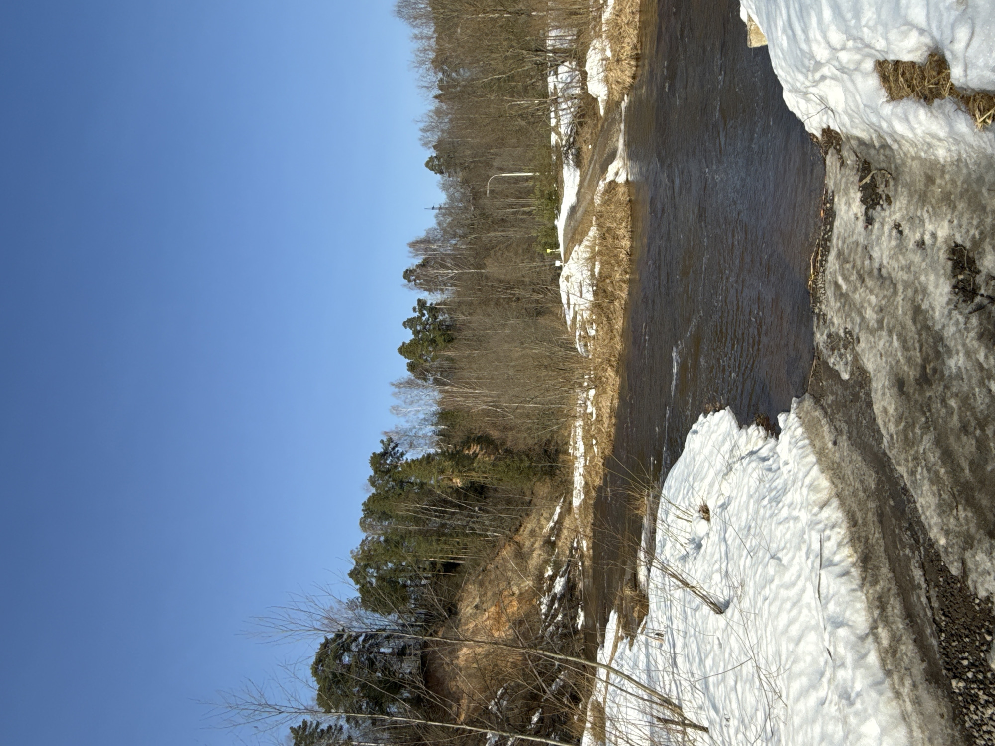 Clear morning landscapes documented in rural Voksherino region, Russia