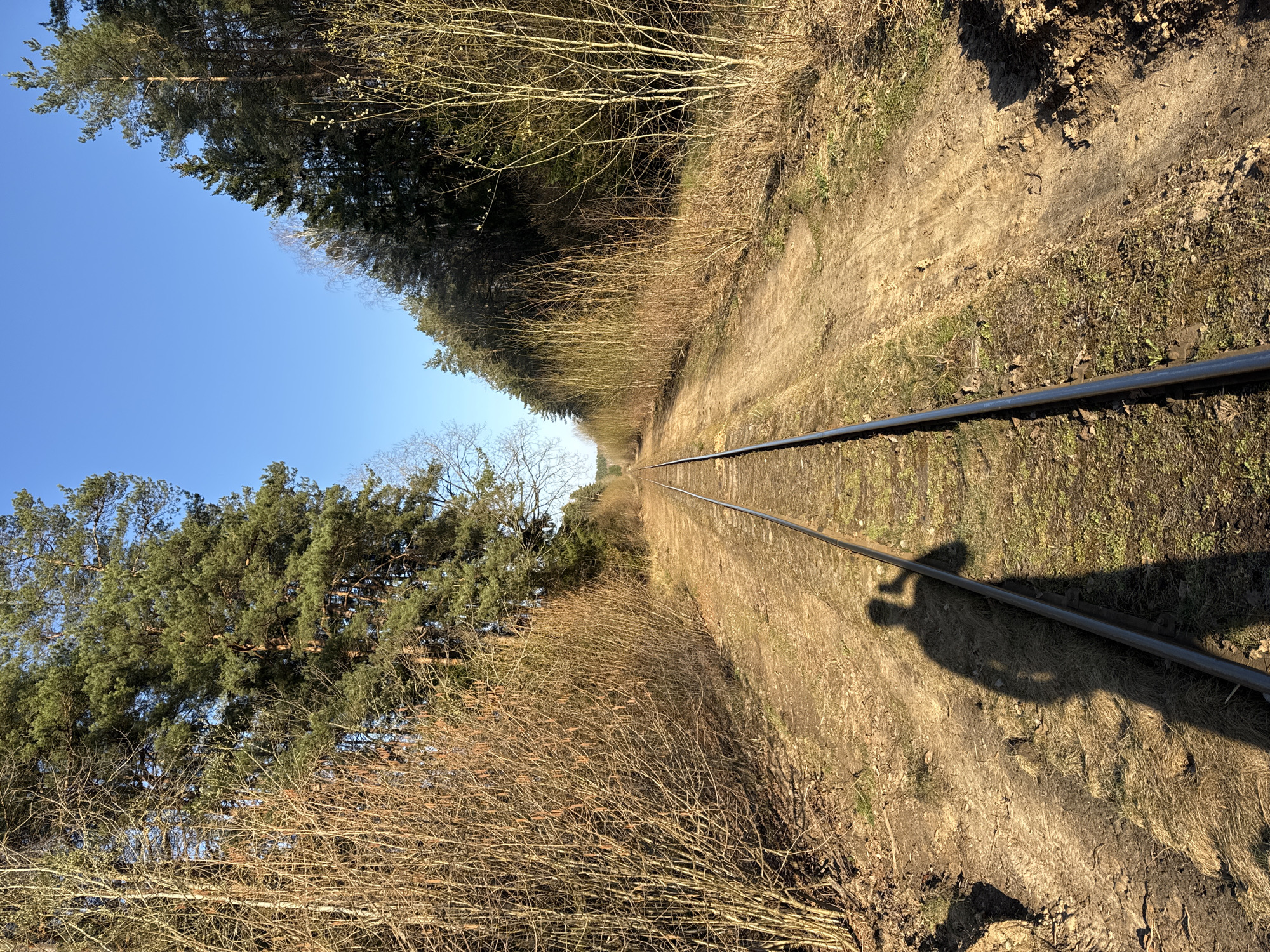 Railway tracks photographed in rural Belarus countryside