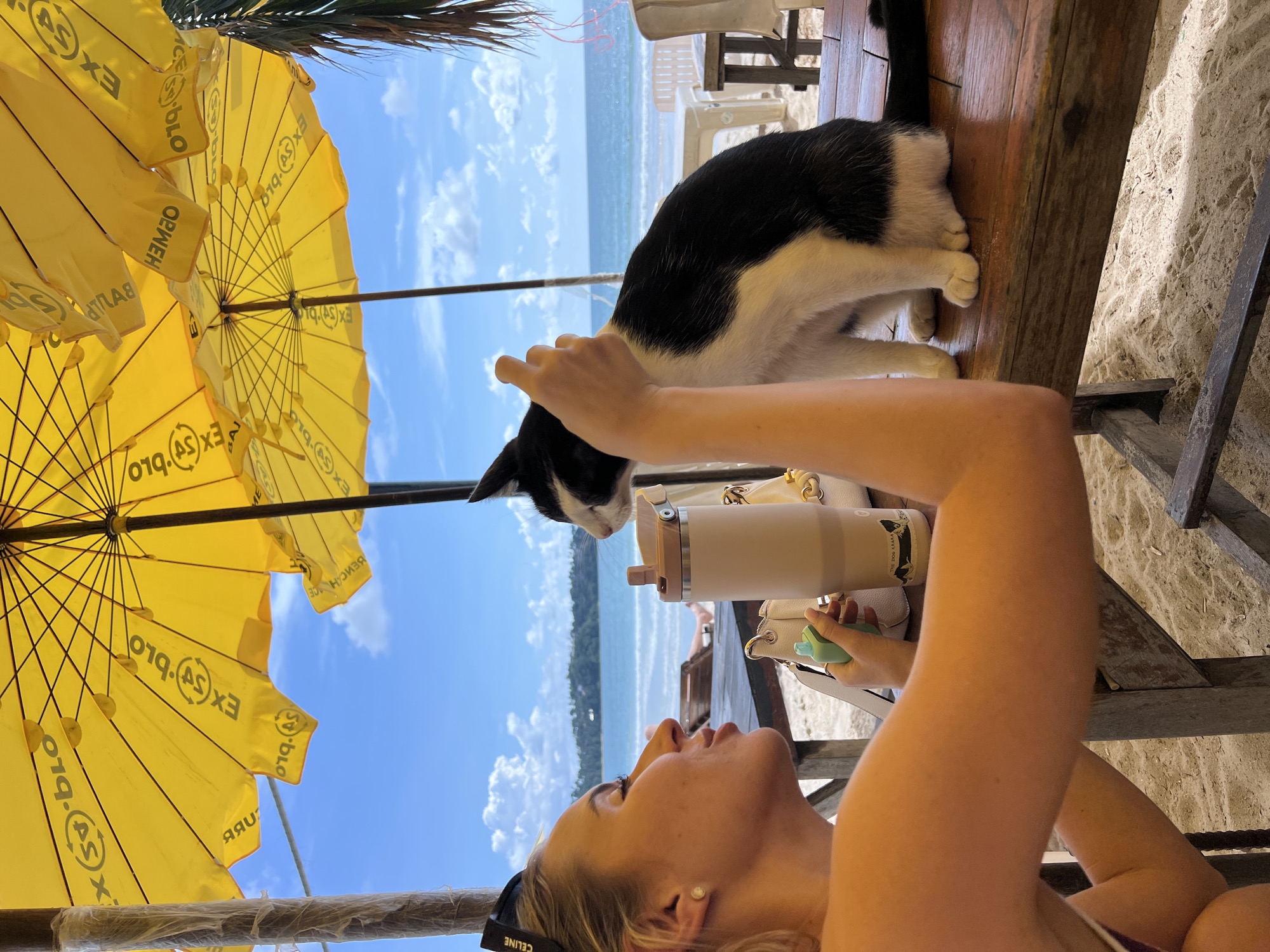 Beach cafe cat enjoys lazy afternoon under yellow umbrellas