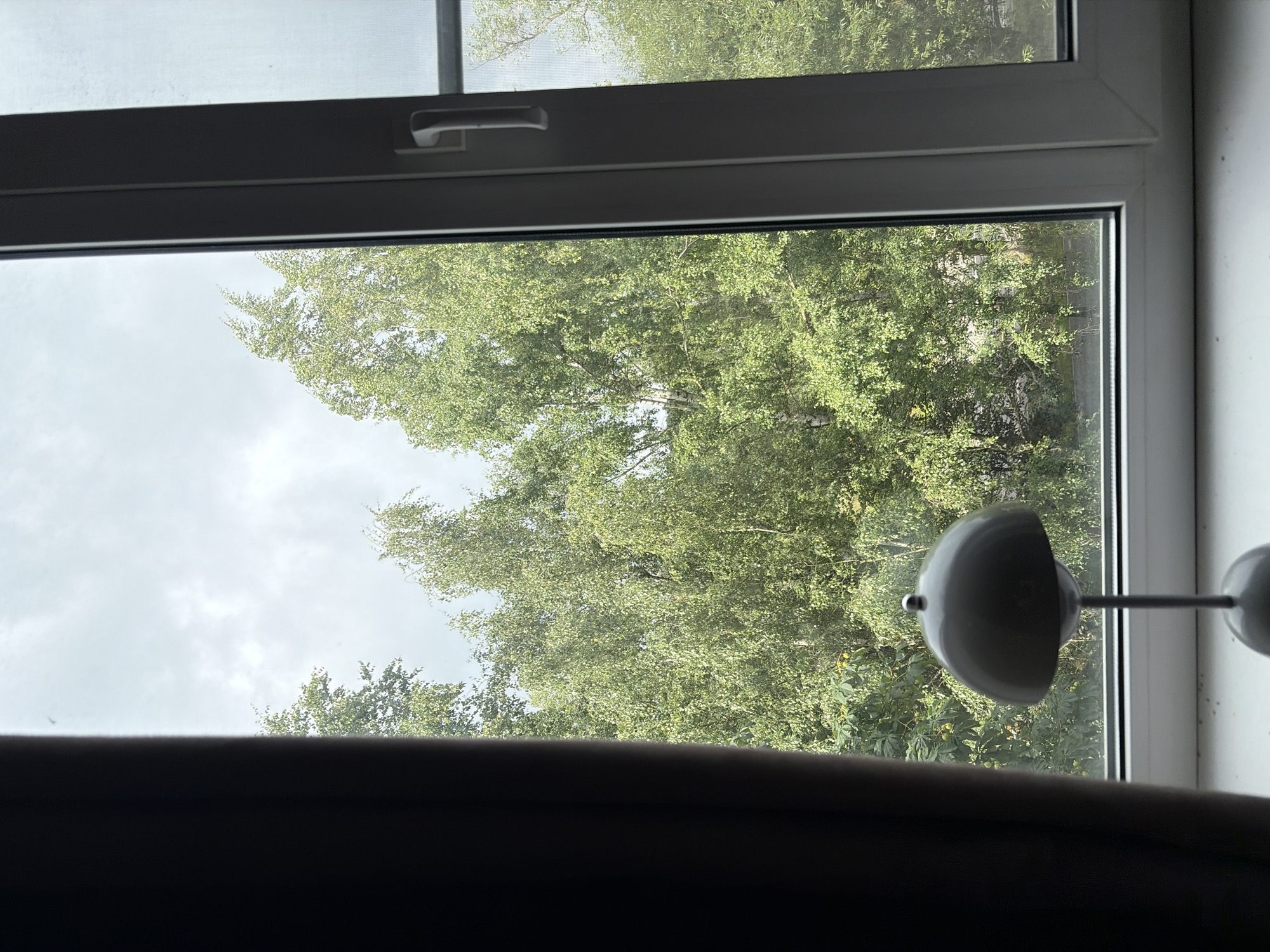 Window view onto green treetops in Krasnogorsk