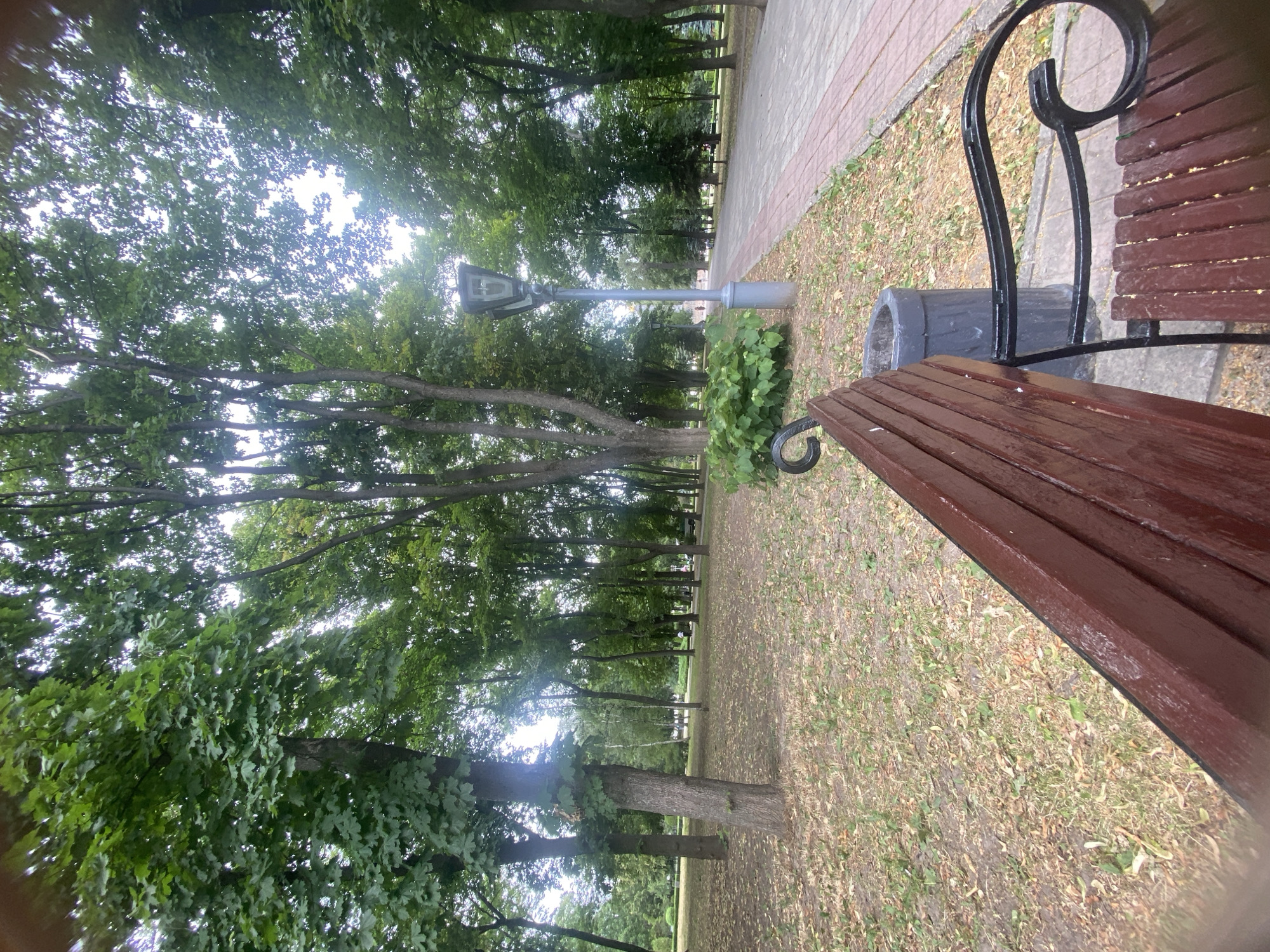 Morning foot traffic through a Poltava city park