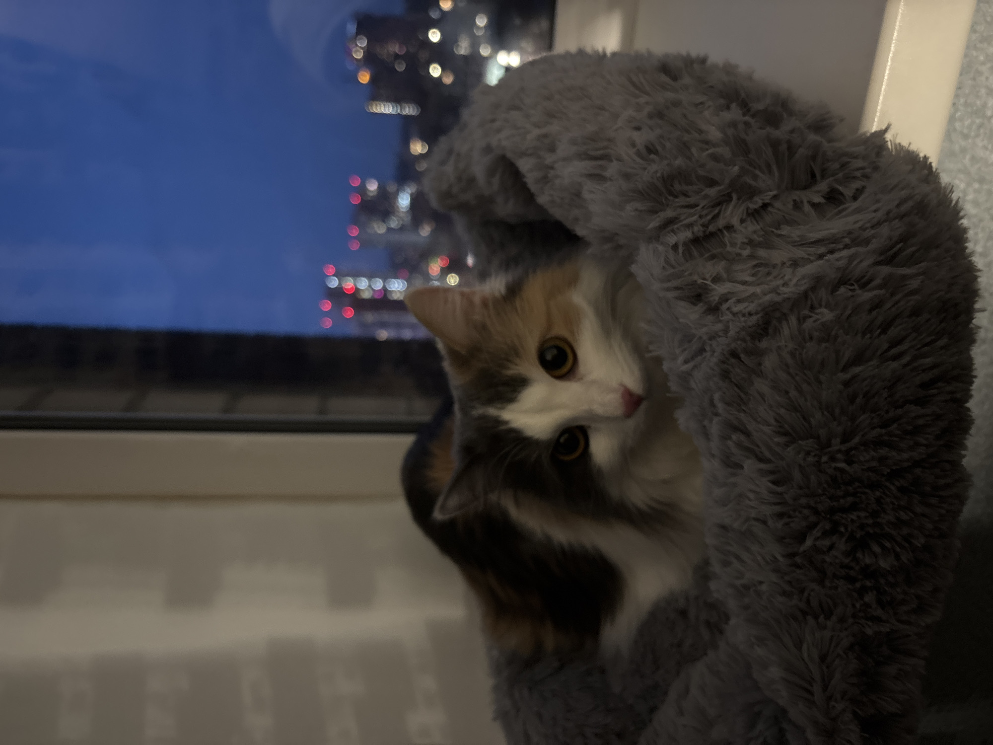 Quiet evening moments captured in Perm apartment setting