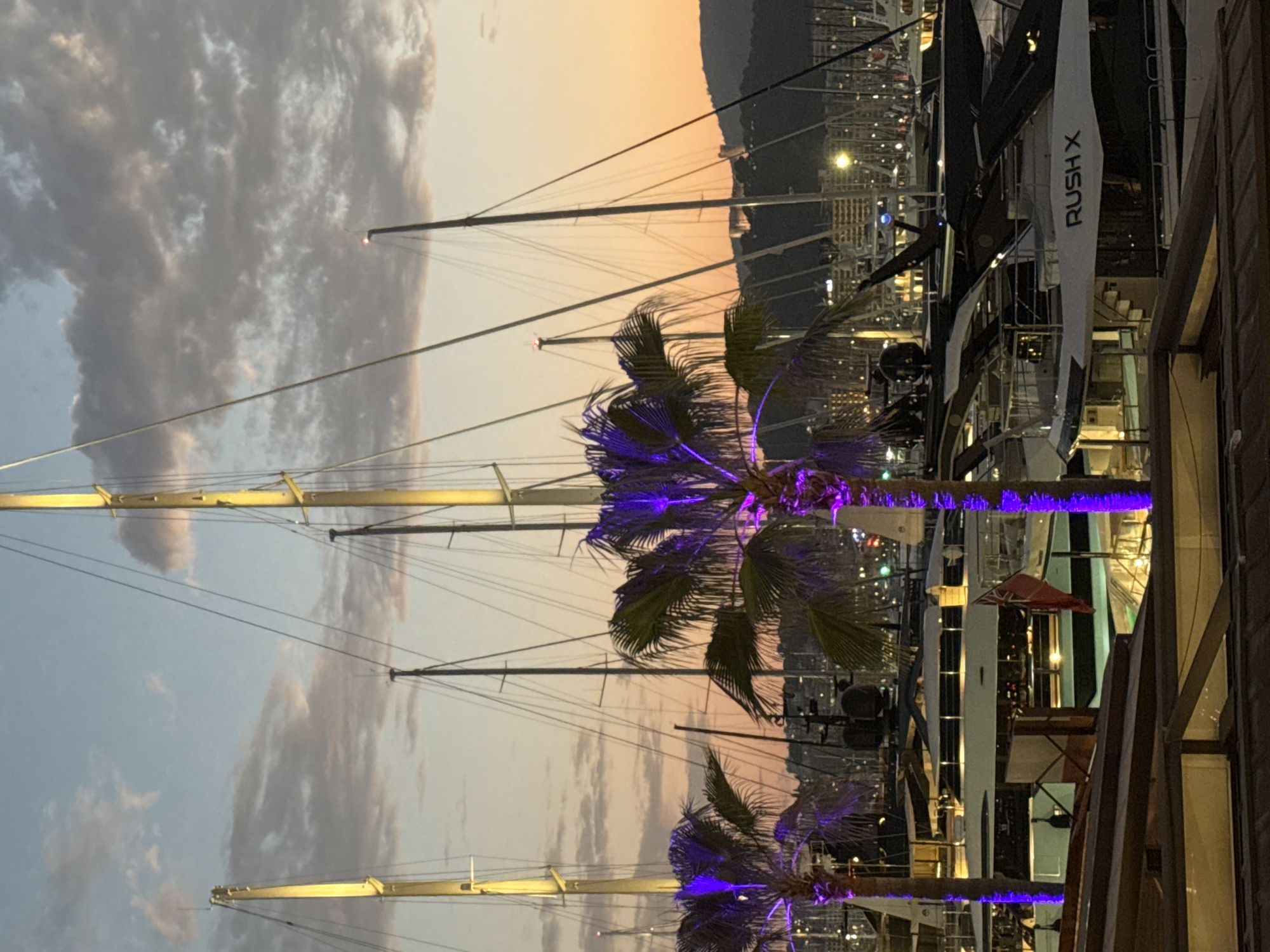 Palma marina and La Seu cathedral at dusk