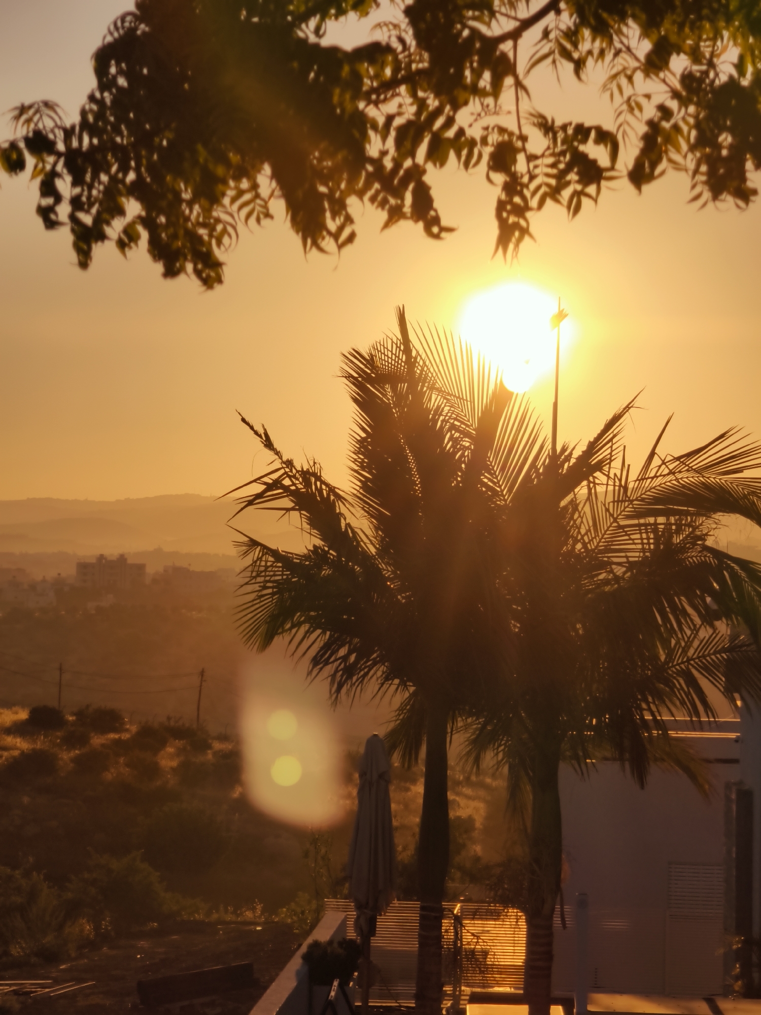 Sunset evening in Lachish — countryside, horses, and new construction