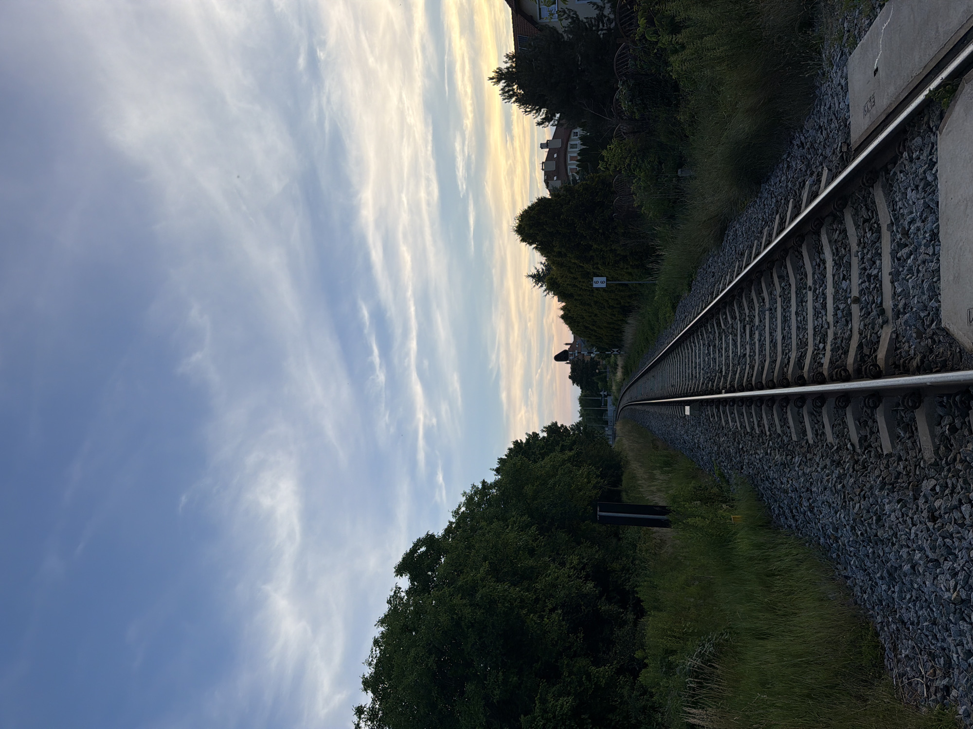 Evening wander: rail lines, spruce trees, and city edges at dusk