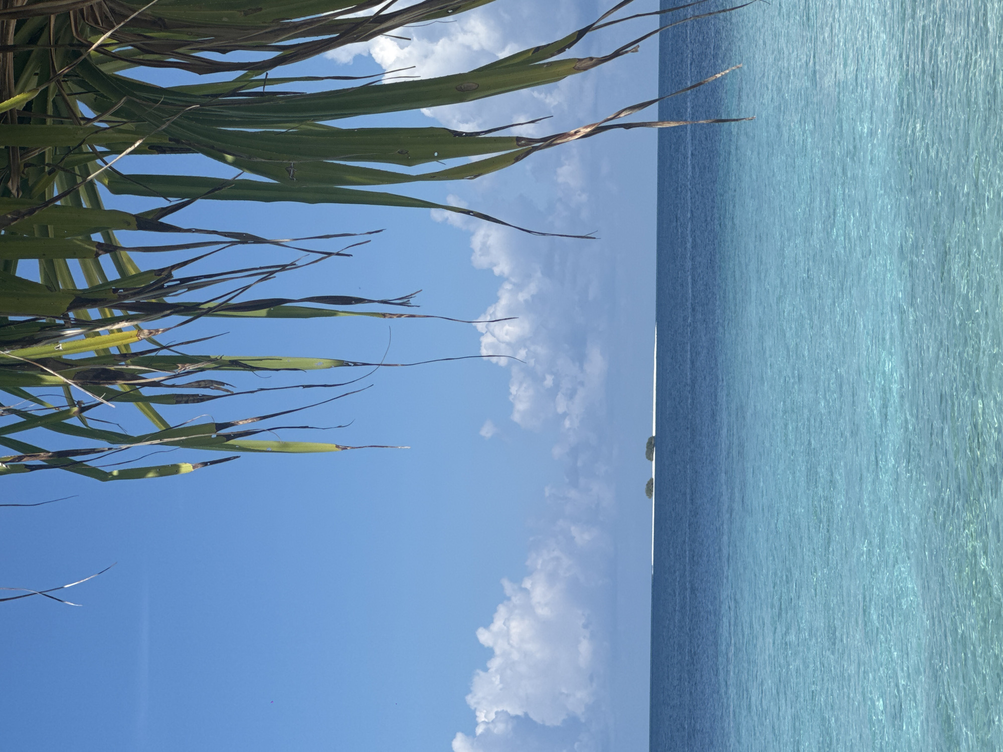 Beach scenes captured in Ukulhas, Maldives showing shade structure