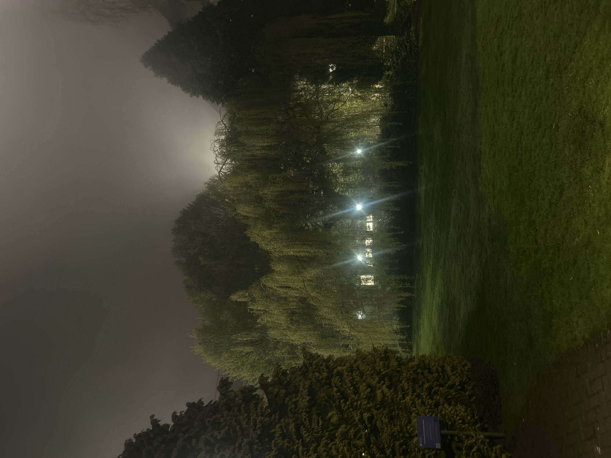 Dense fog envelops Dundee parks and buildings overnight