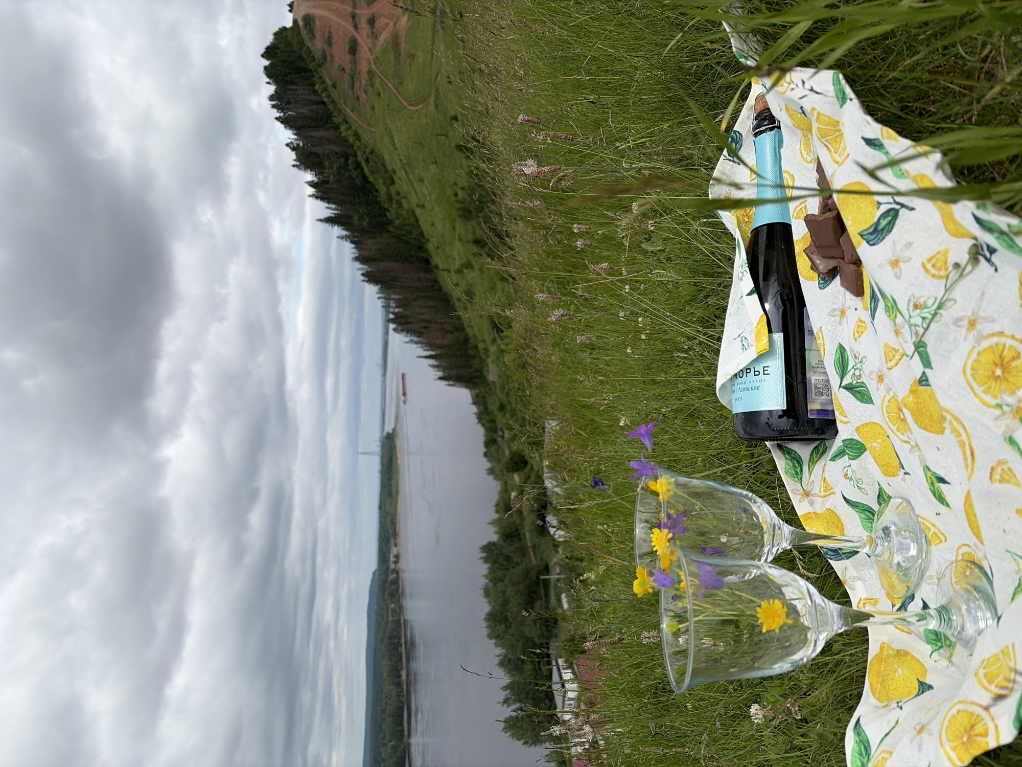 Woman documents champagne picnic with wildflowers overlooking Russian river