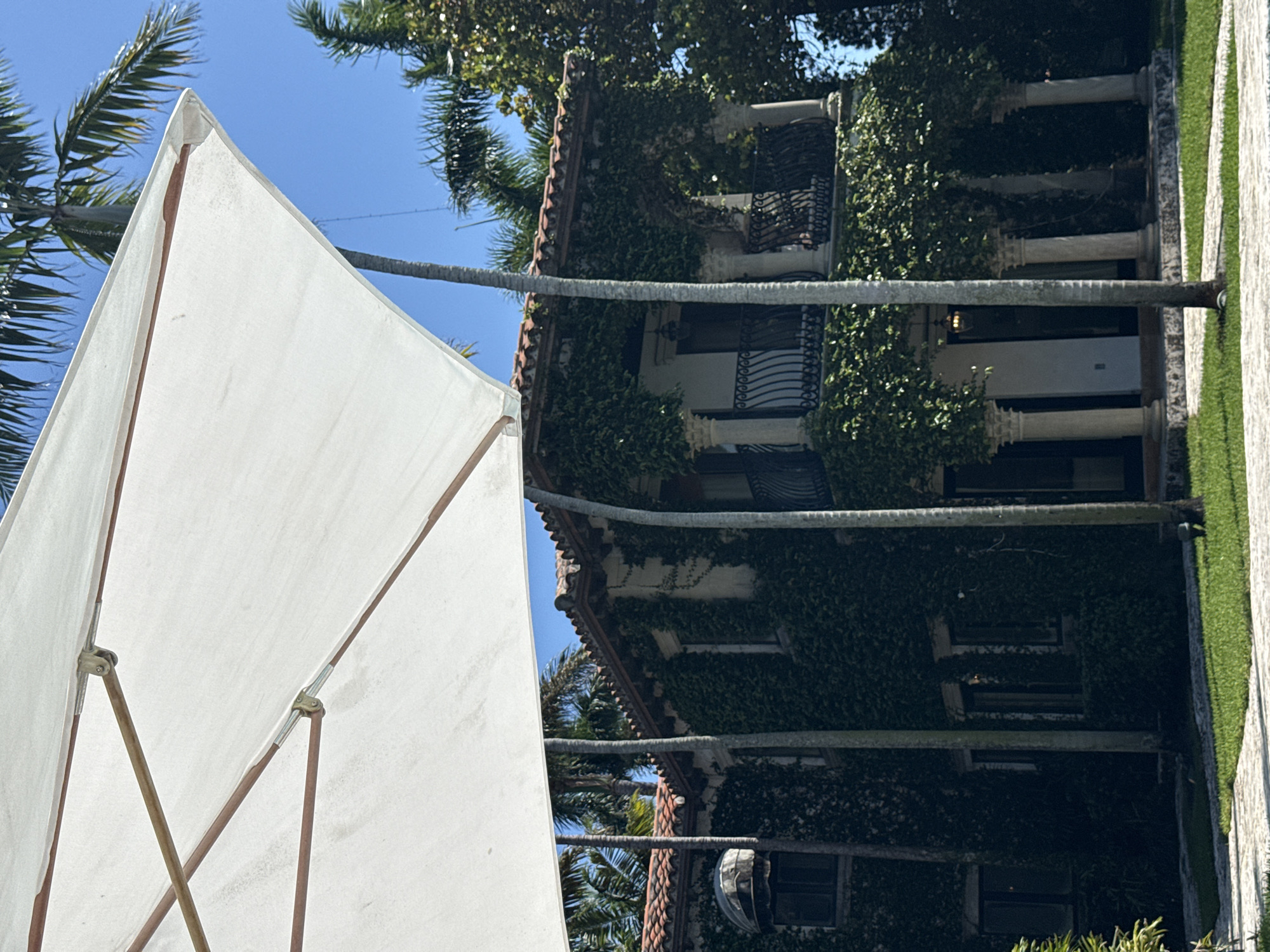 White parasol spotted amid tropical greenery in Miami Beach