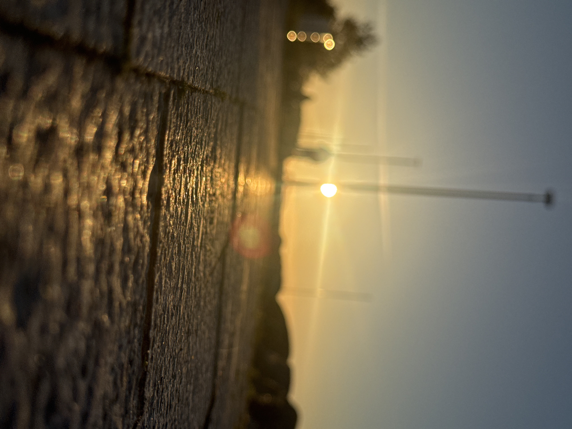 Golden hour captured across Tallinn's waterfront marinas