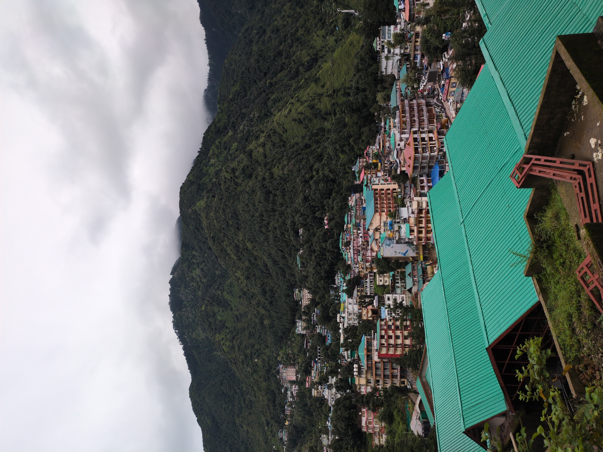 Bhagsu hillside: forest trails, winding roads, and construction