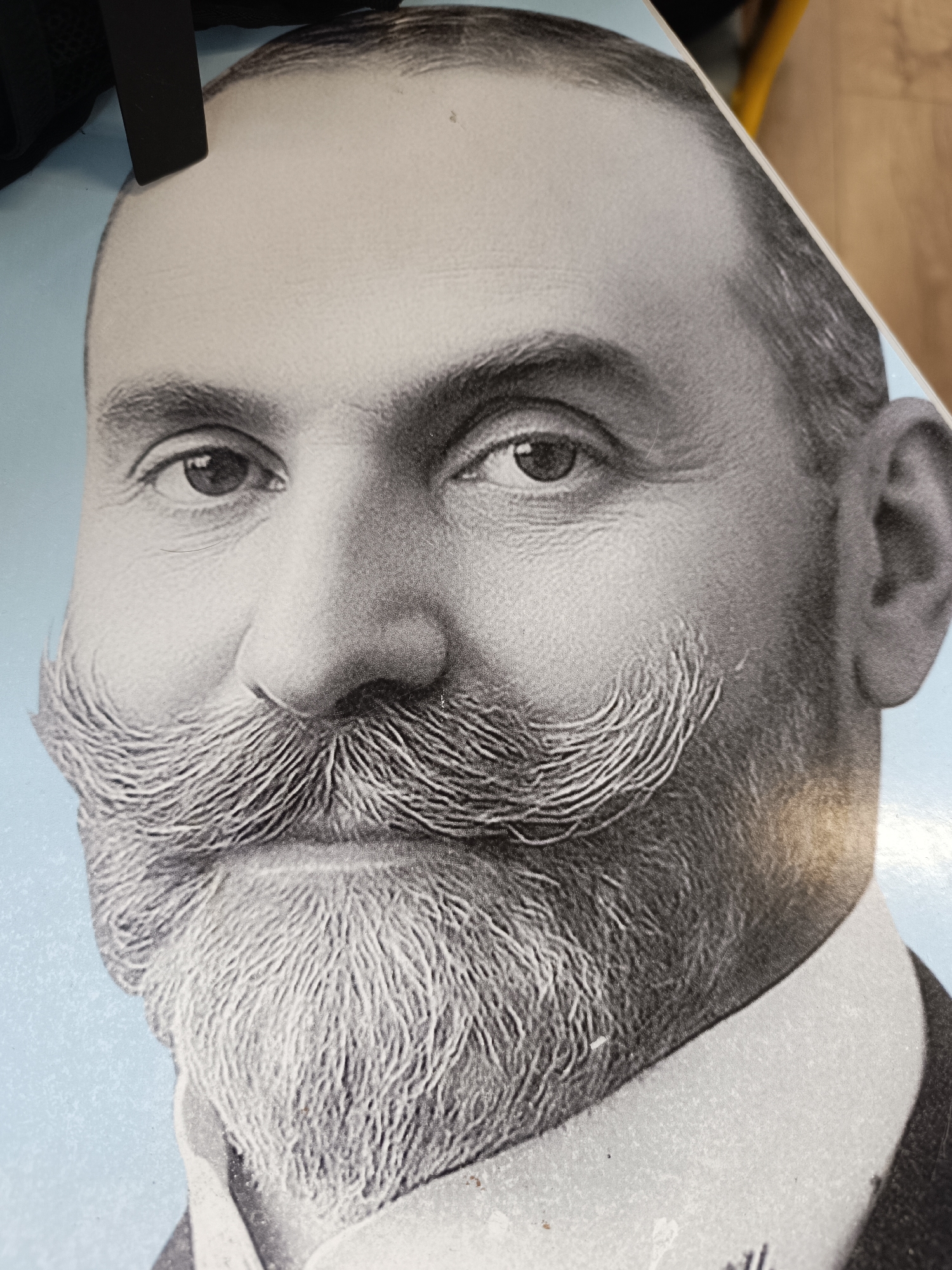 Student studies with historical portraits in Pleven classroom