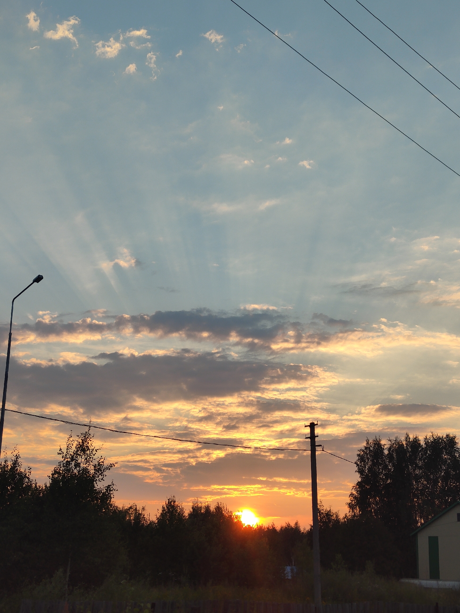 Sunset rays breaking through the treeline in Vysoky, Russia