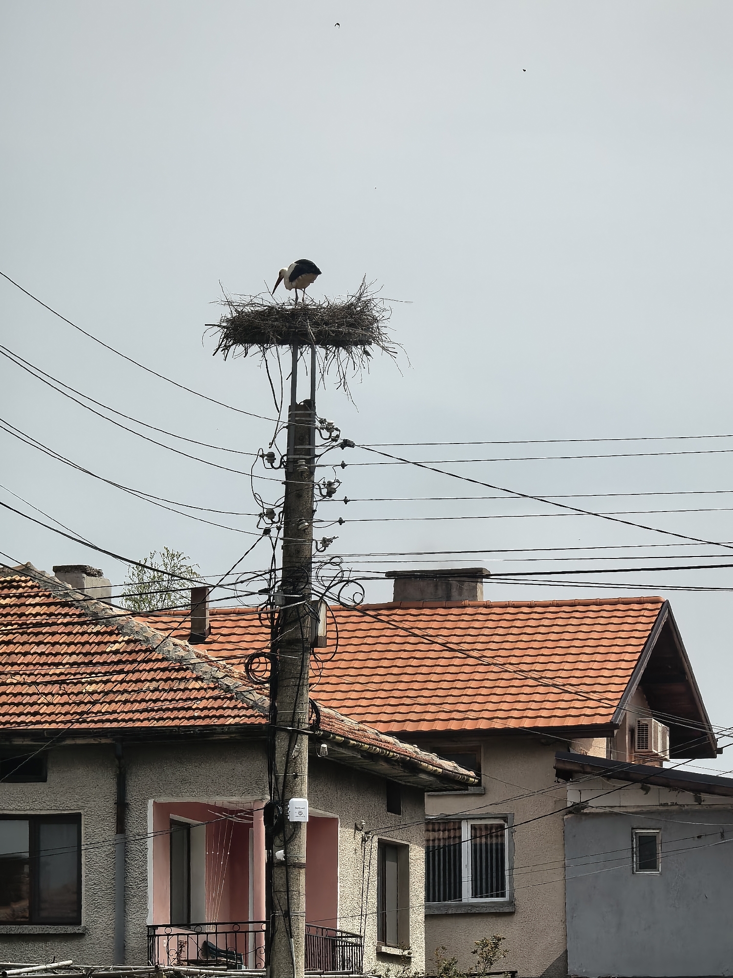 Morning life documented across European town through witness memories