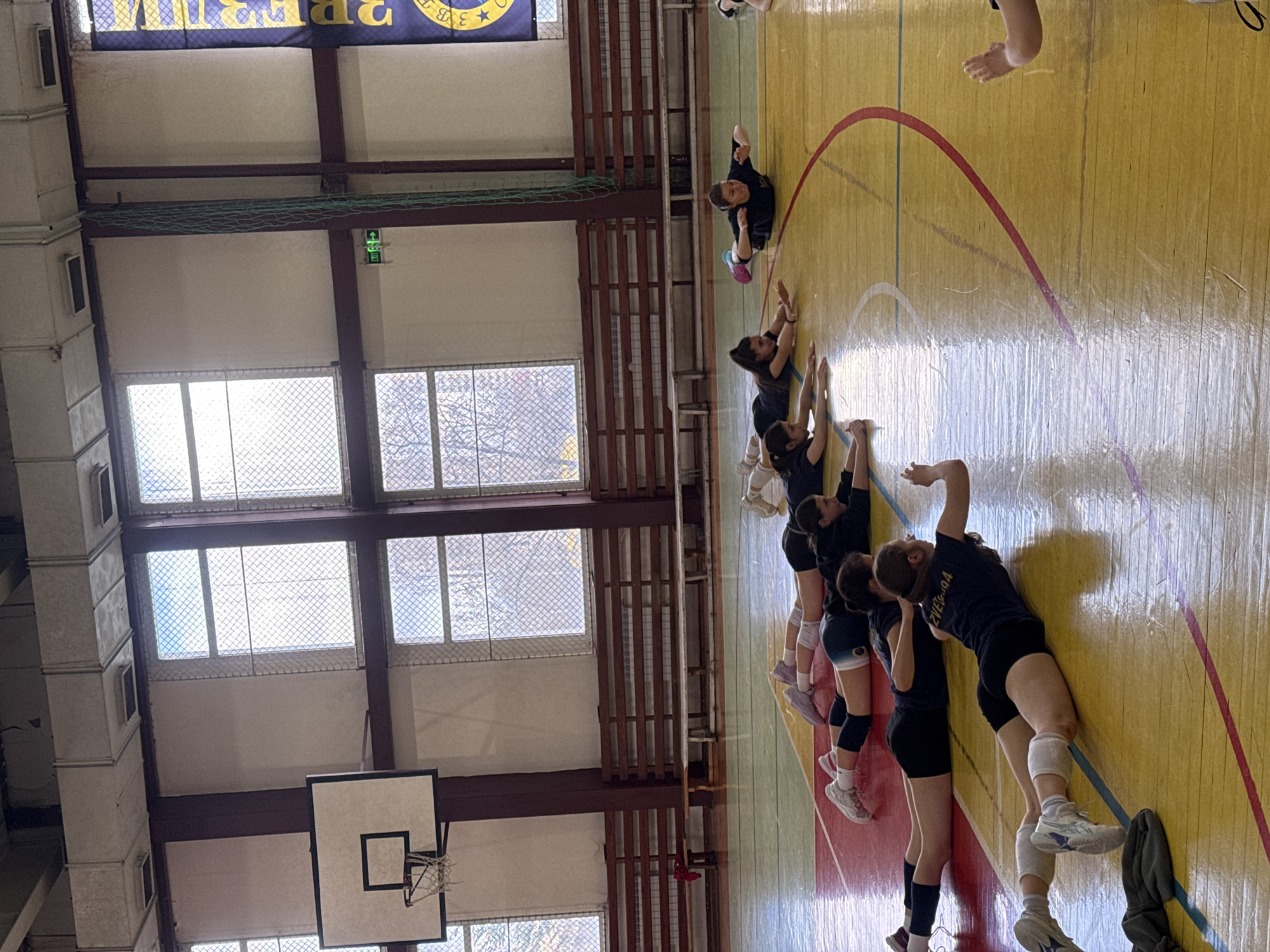 Volleyball team conducts stretching exercises in Sofia gymnasium