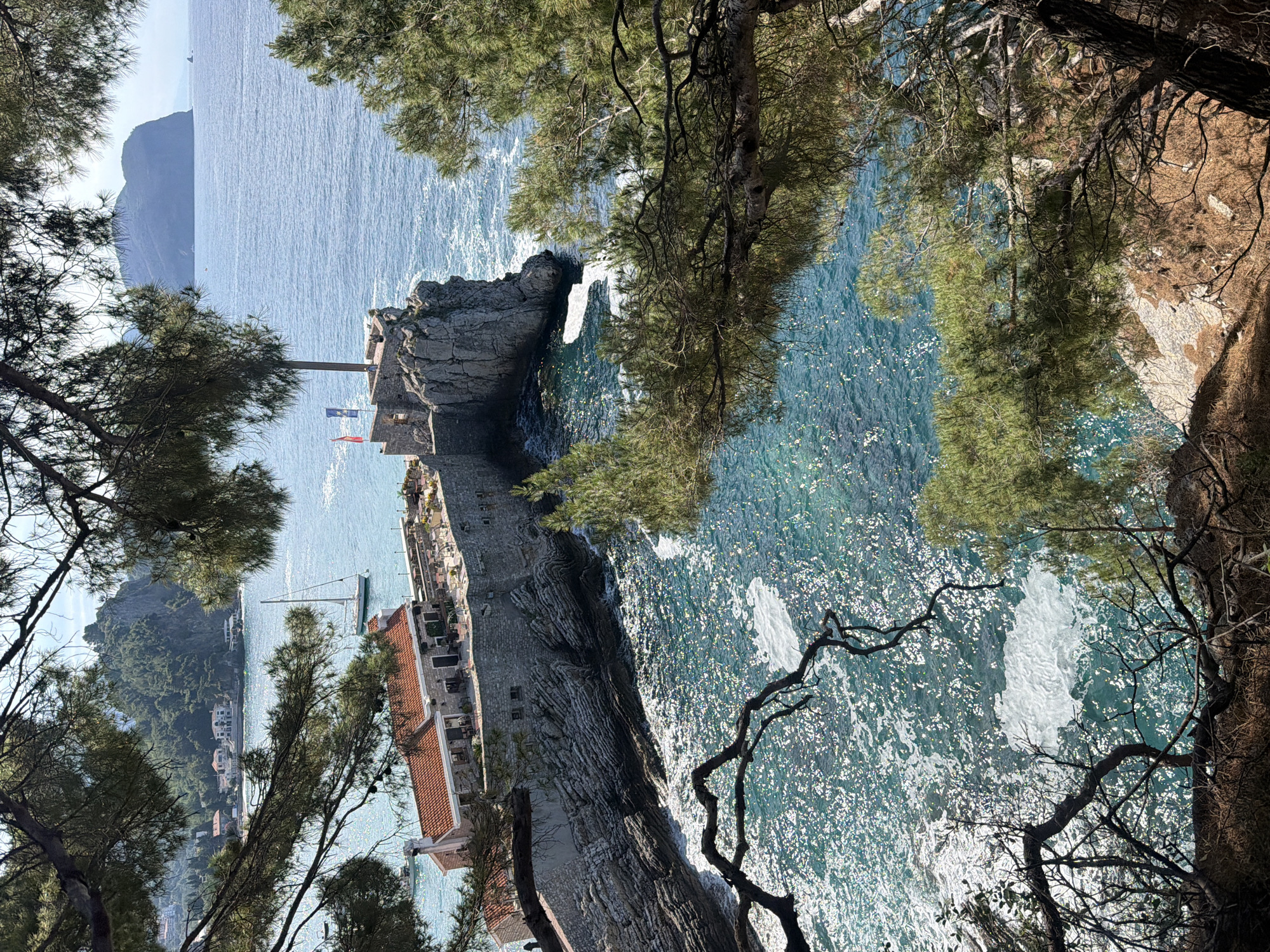 Woman and dog pause on Montenegro clifftop overlooking Adriatic