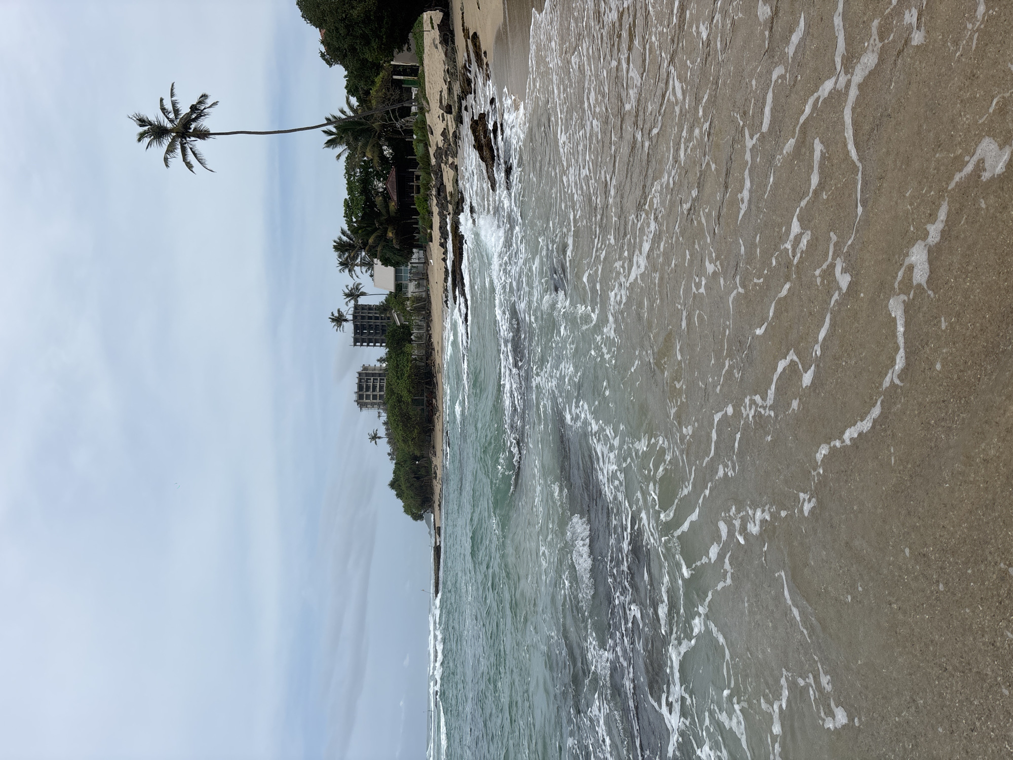 Monitor lizards fight, crabs spotted on Thalaramba beach morning