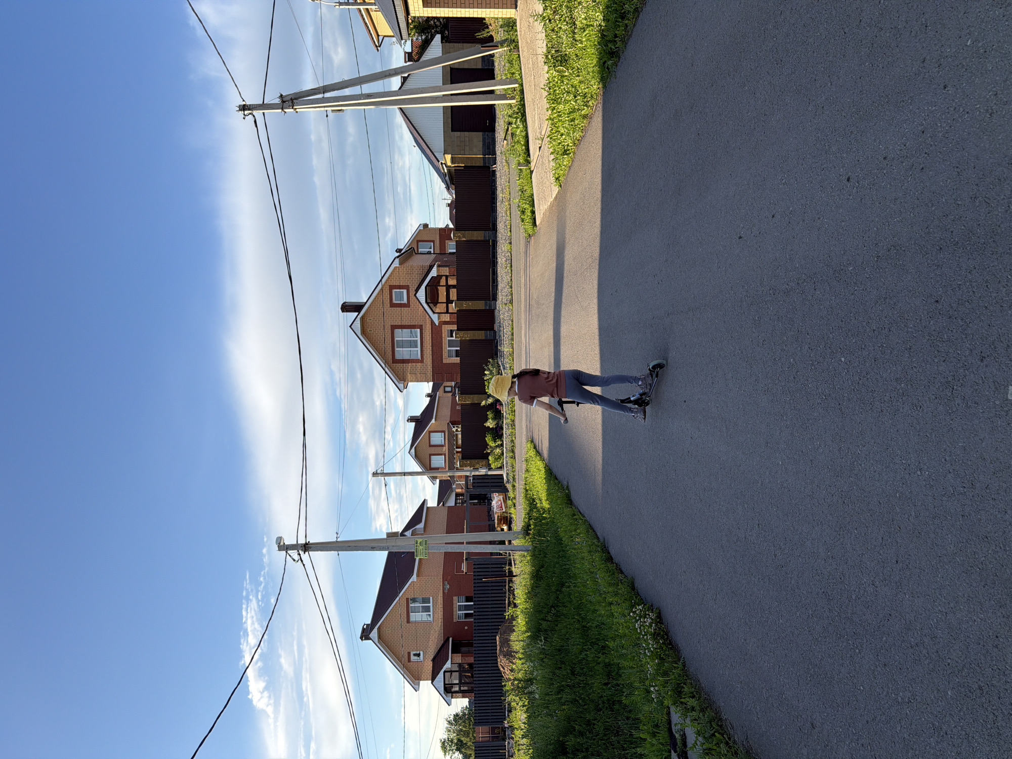 Suburban afternoon in Shmidtovo featuring selfies and mint picking