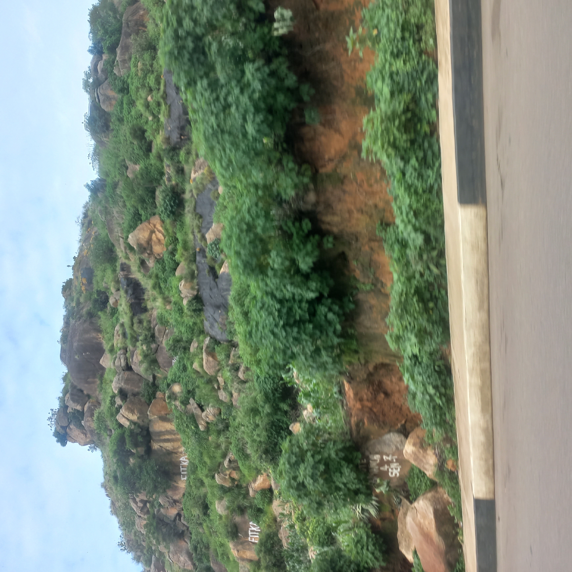 Hillside boulders and a quiet resting moment, same morning