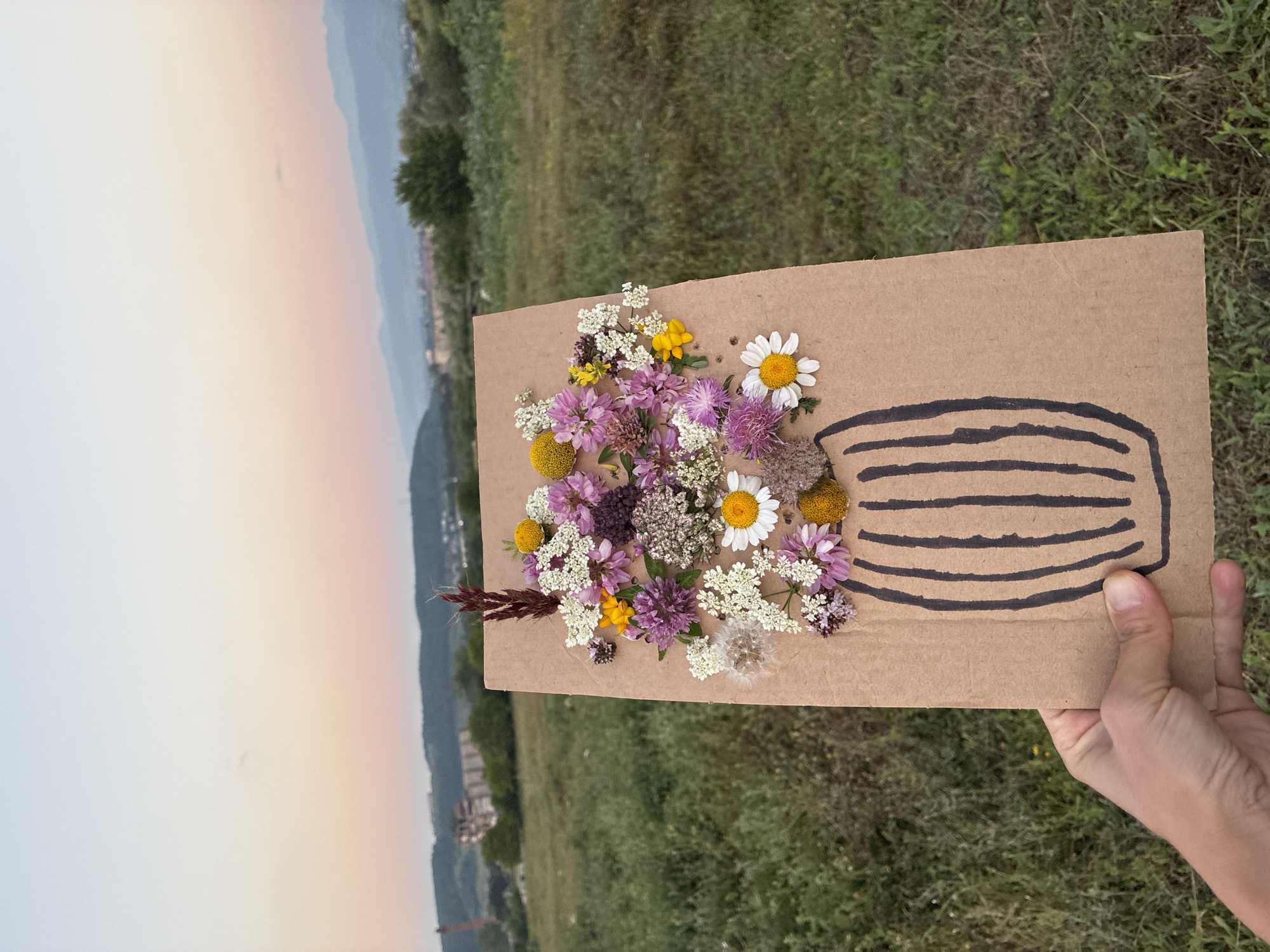 Wildflowers and teasels along rural roadsides in Georgian countryside