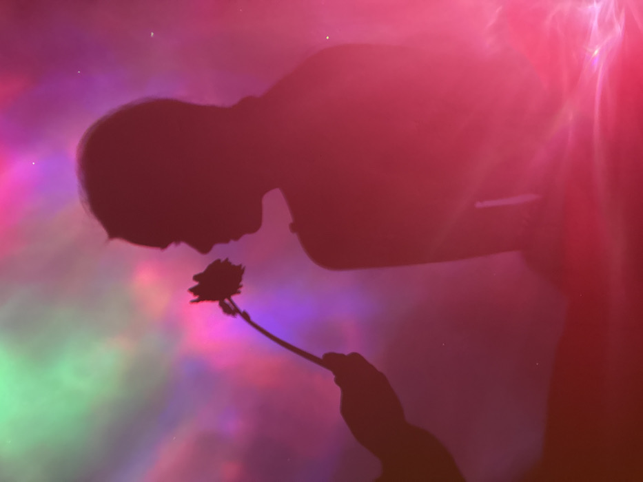 Shadow figures with roses perform against colorful light projections