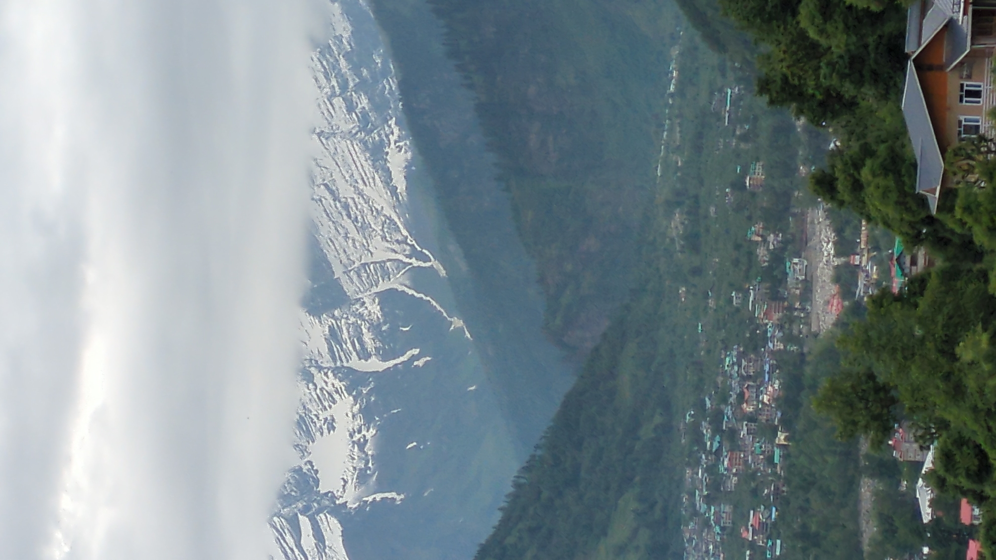 Vashisht village, Himalayan peaks, and a lone marigold