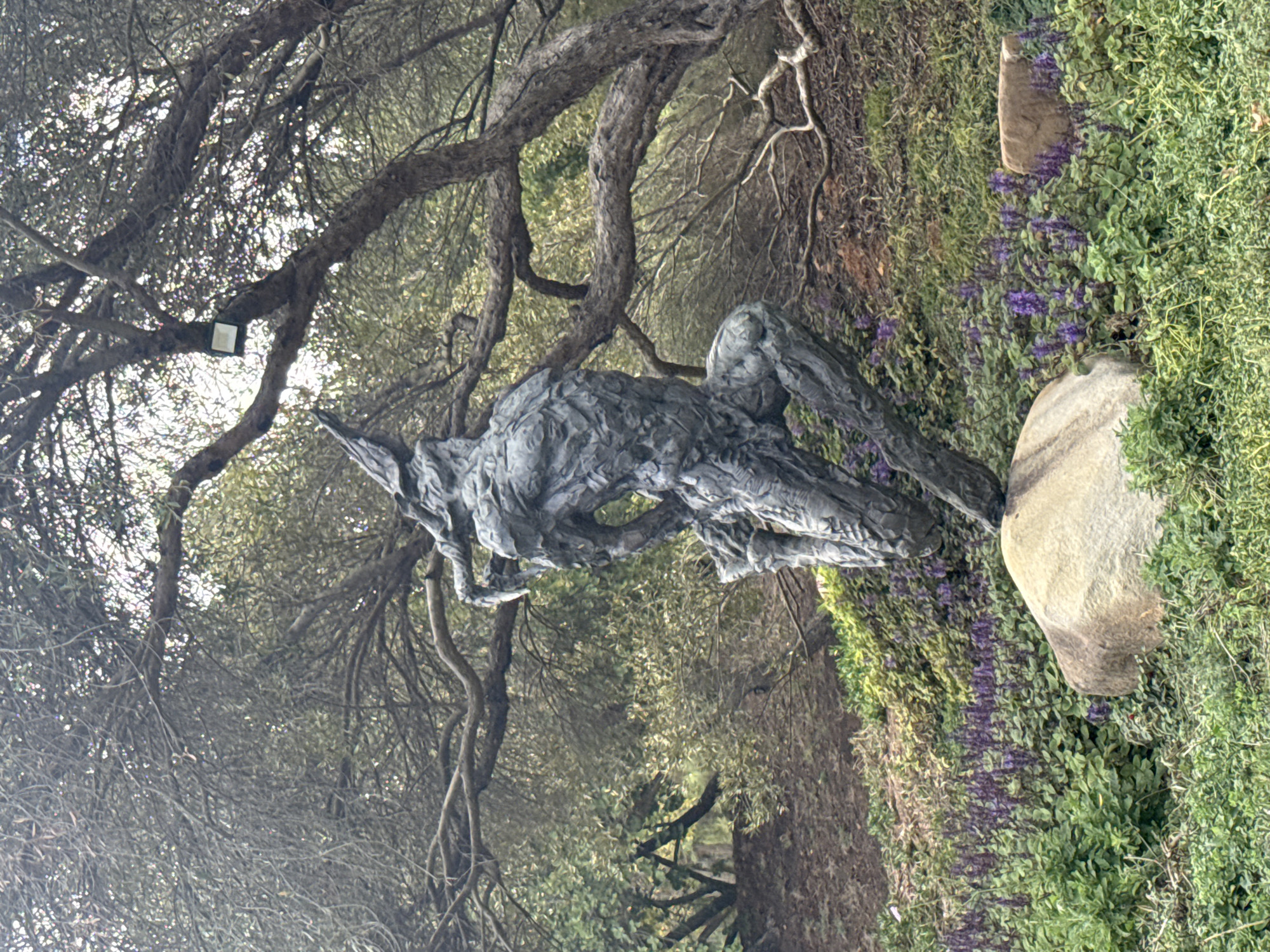 Art documentation tour recorded across Stellenbosch studios and galleries