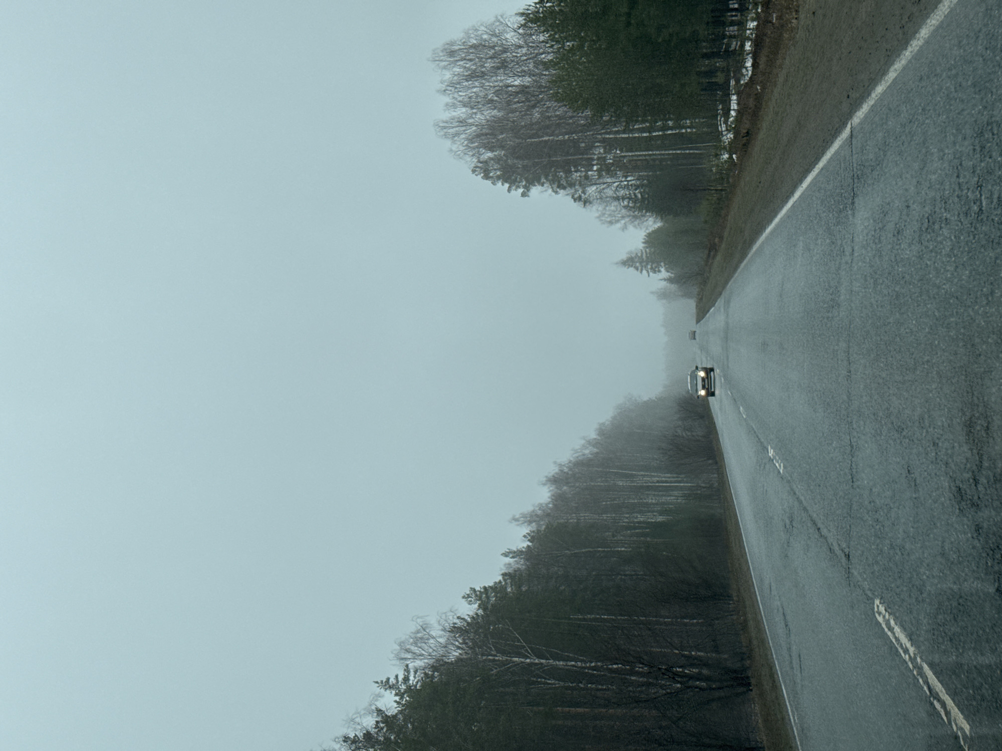 Foggy road conditions documented in Novyi, Russia