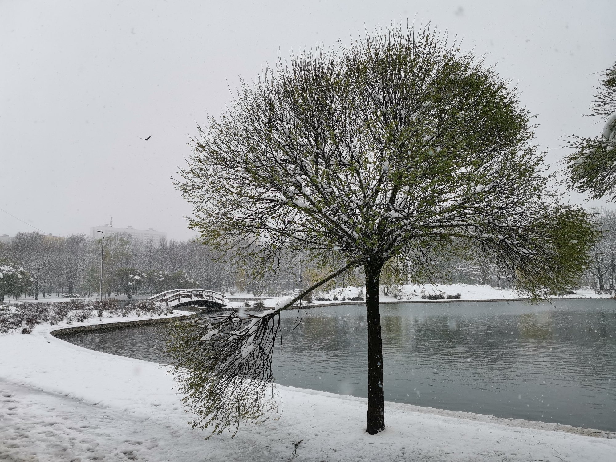 Late-season snowfall blankets Moscow parks in April 2026