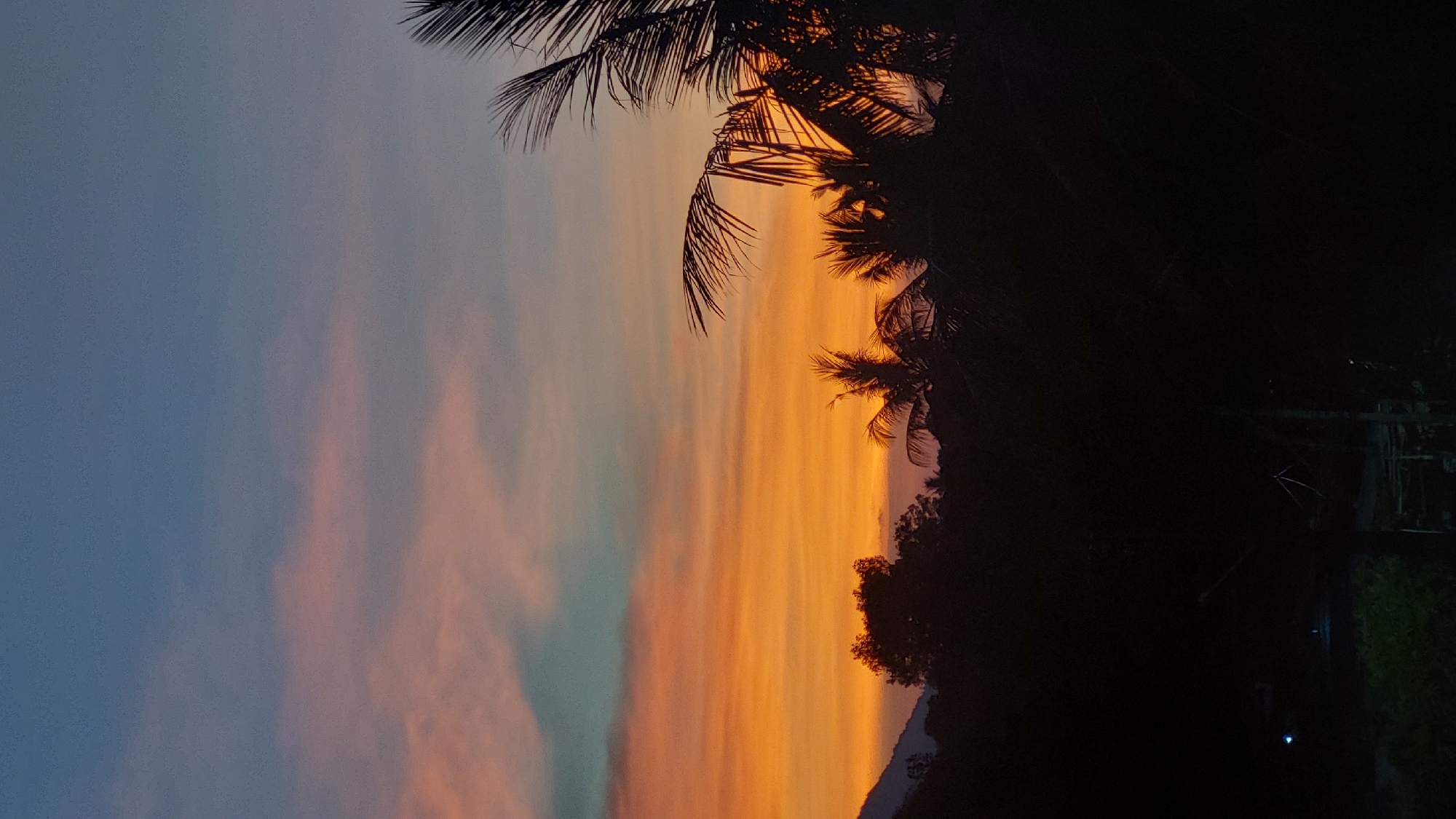 Colorful sunset documented through palm trees in Baan Mae Nam