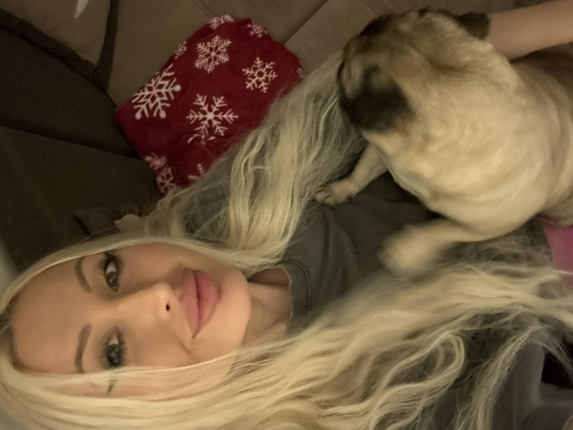 Pug steals the show across three quick couch shots