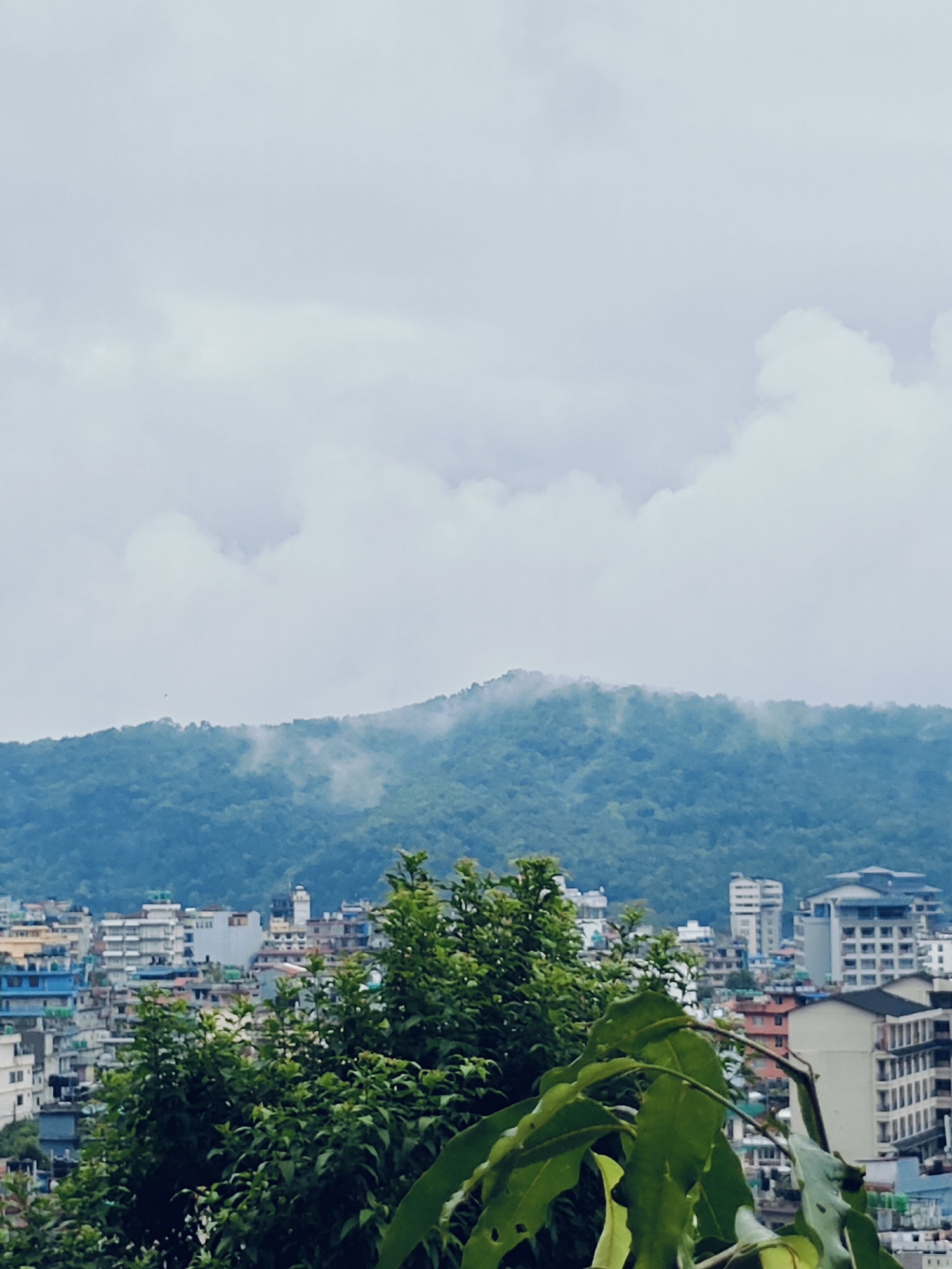 Misty morning at Phewa Lake — views, tea, and a meal