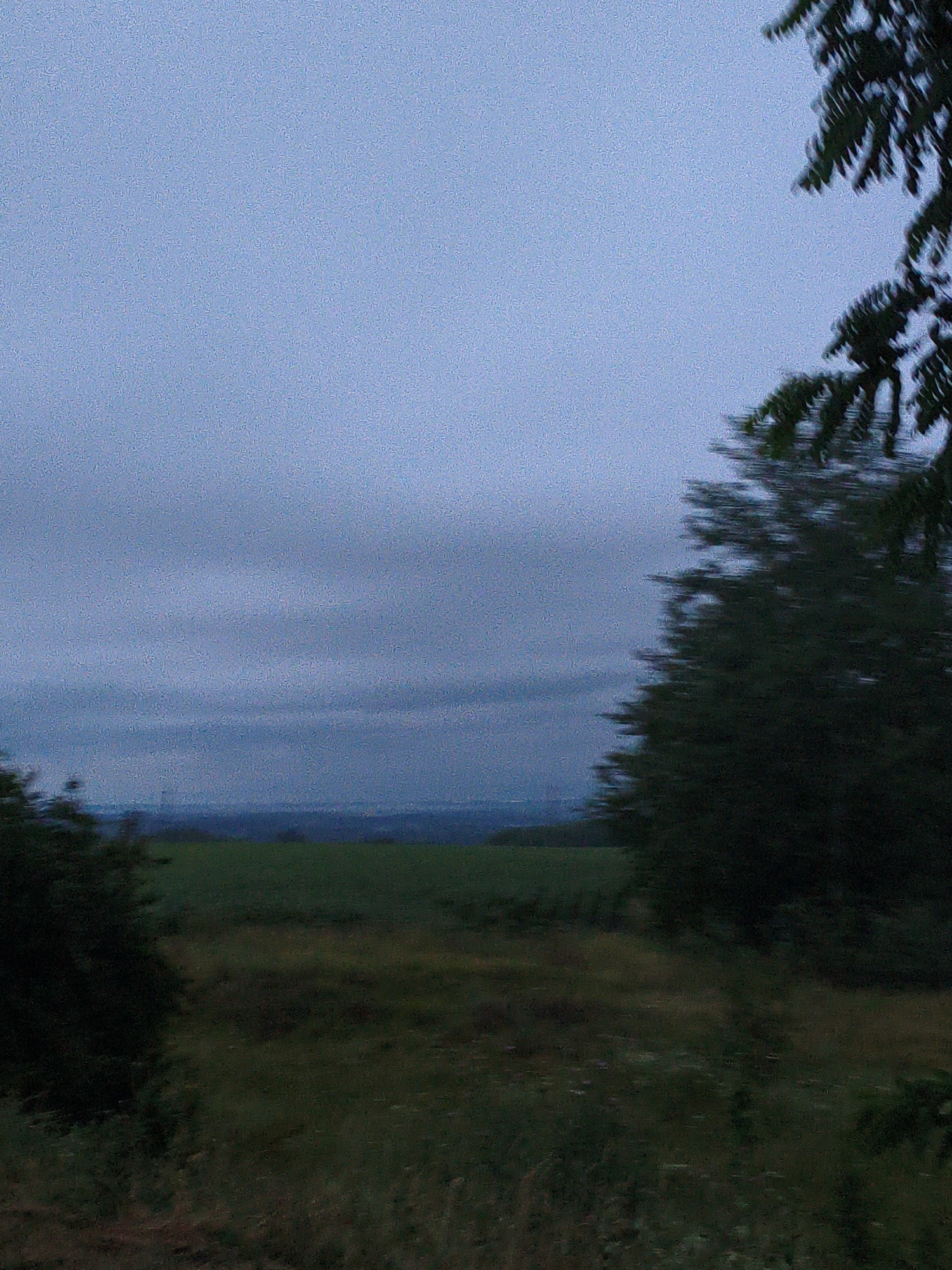 Wet roads and roses at dusk in rural Ustyvytsia
