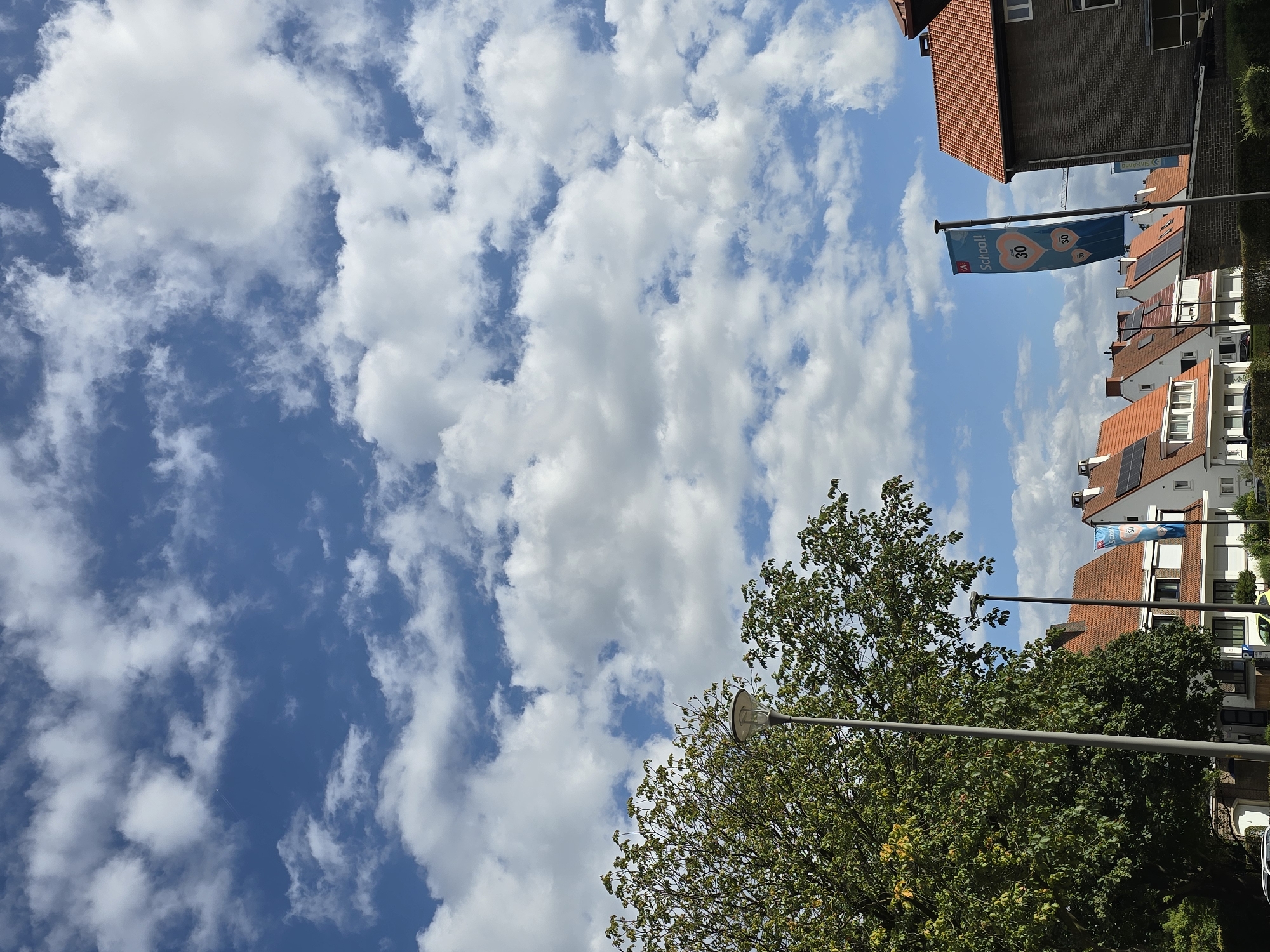 Antwerp afternoon: city views and close-up nature details