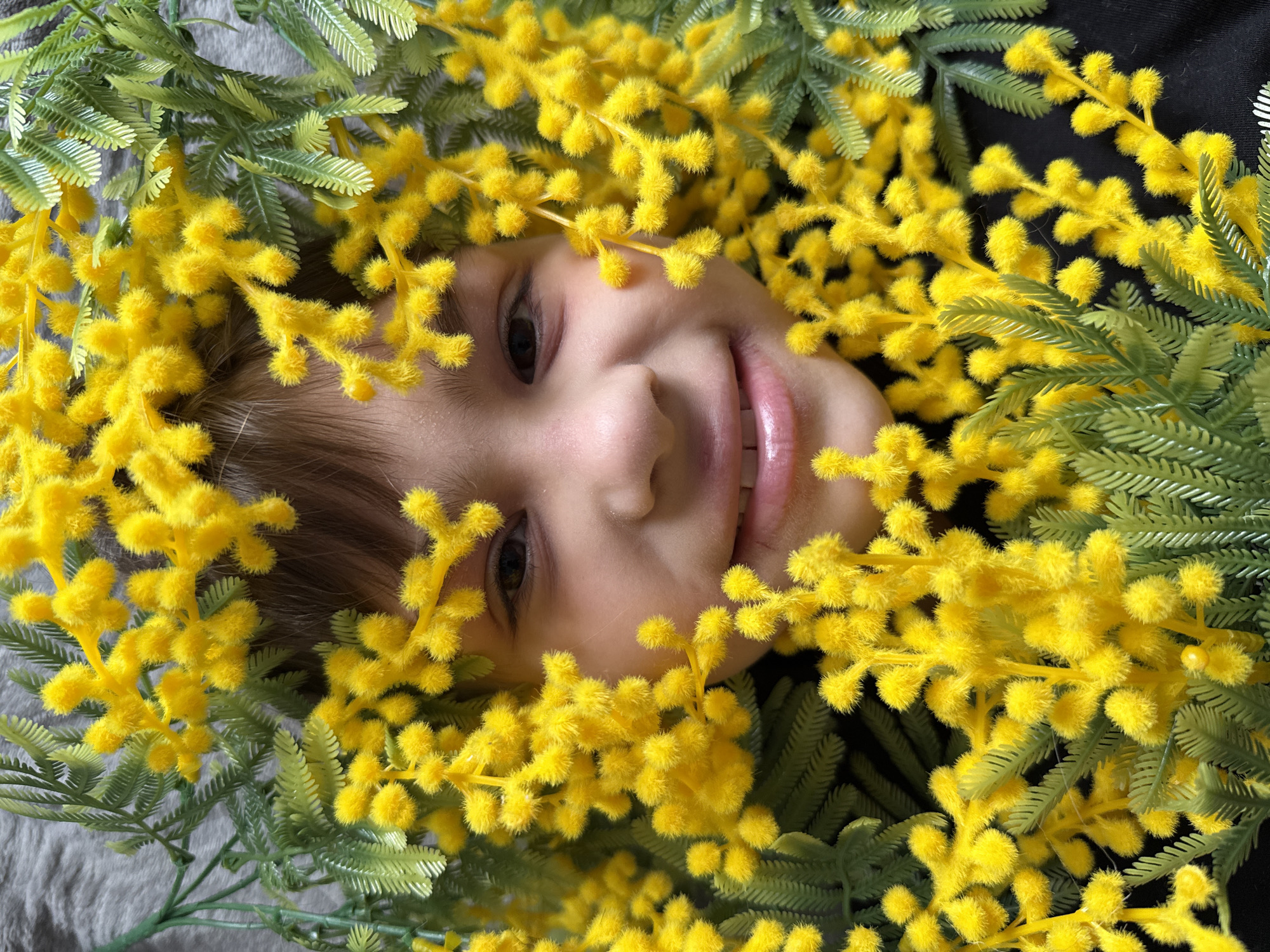 Child photographed smiling among yellow mimosa flowers