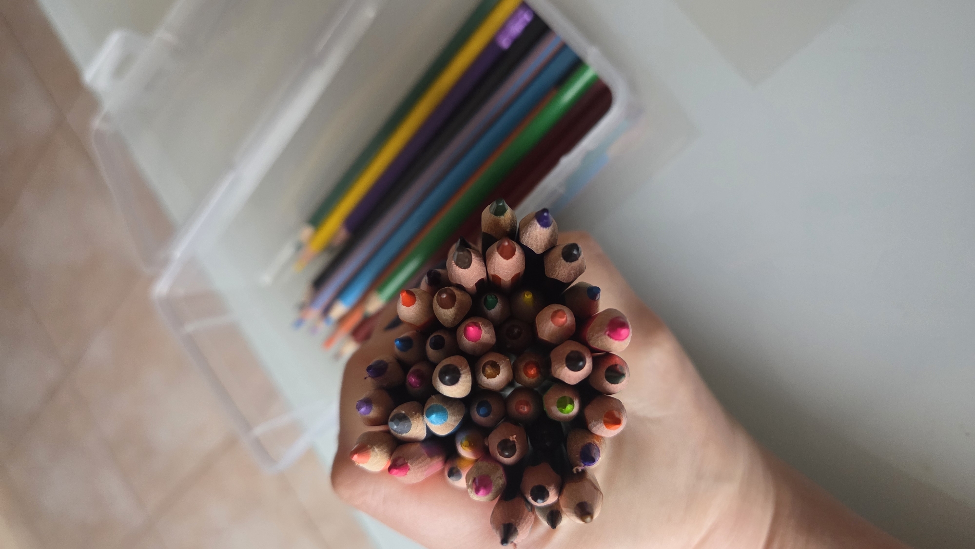 Art supplies and study materials documented in Chaikovsky home